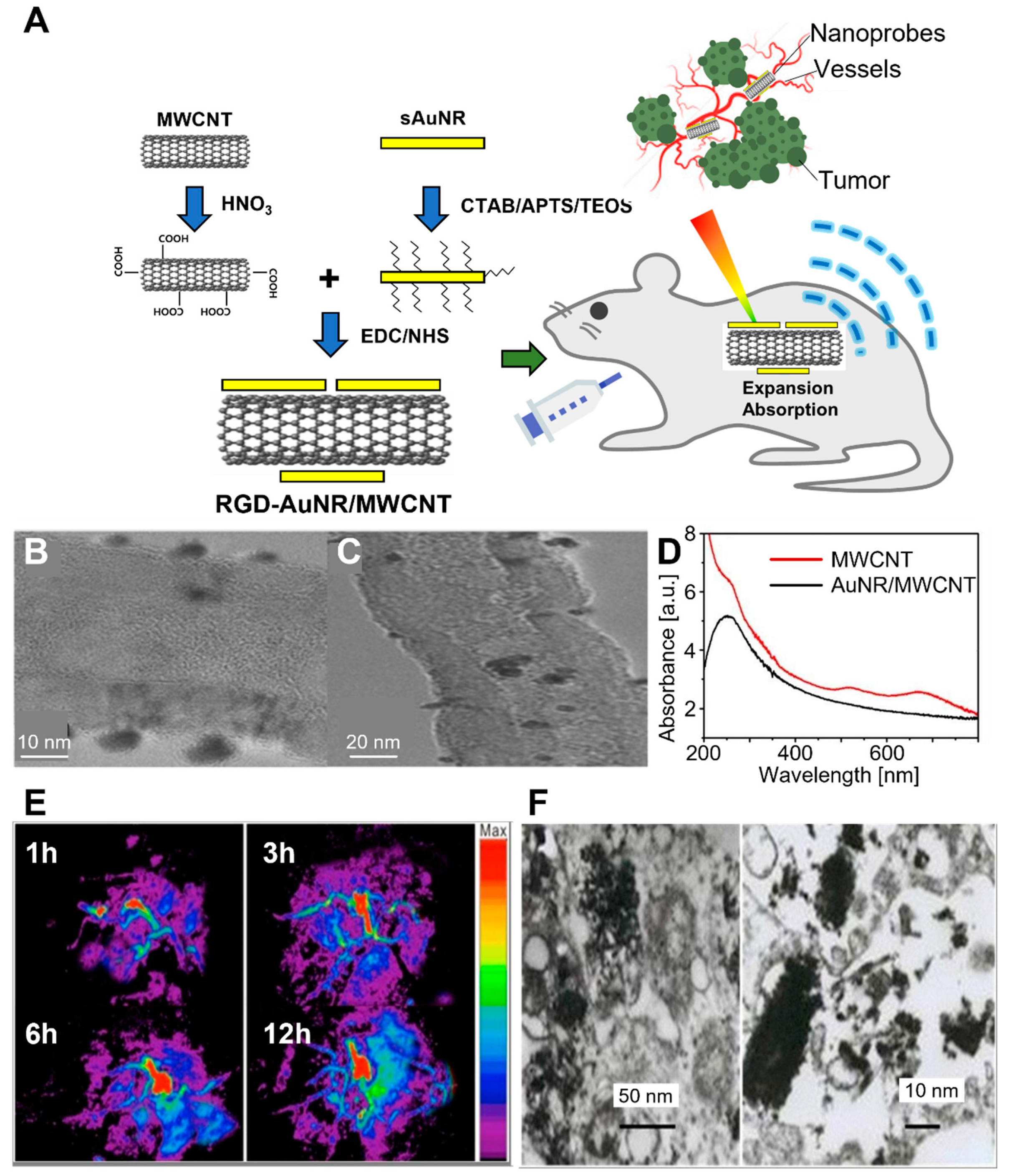 Biomedicines 10 01374 g007 550