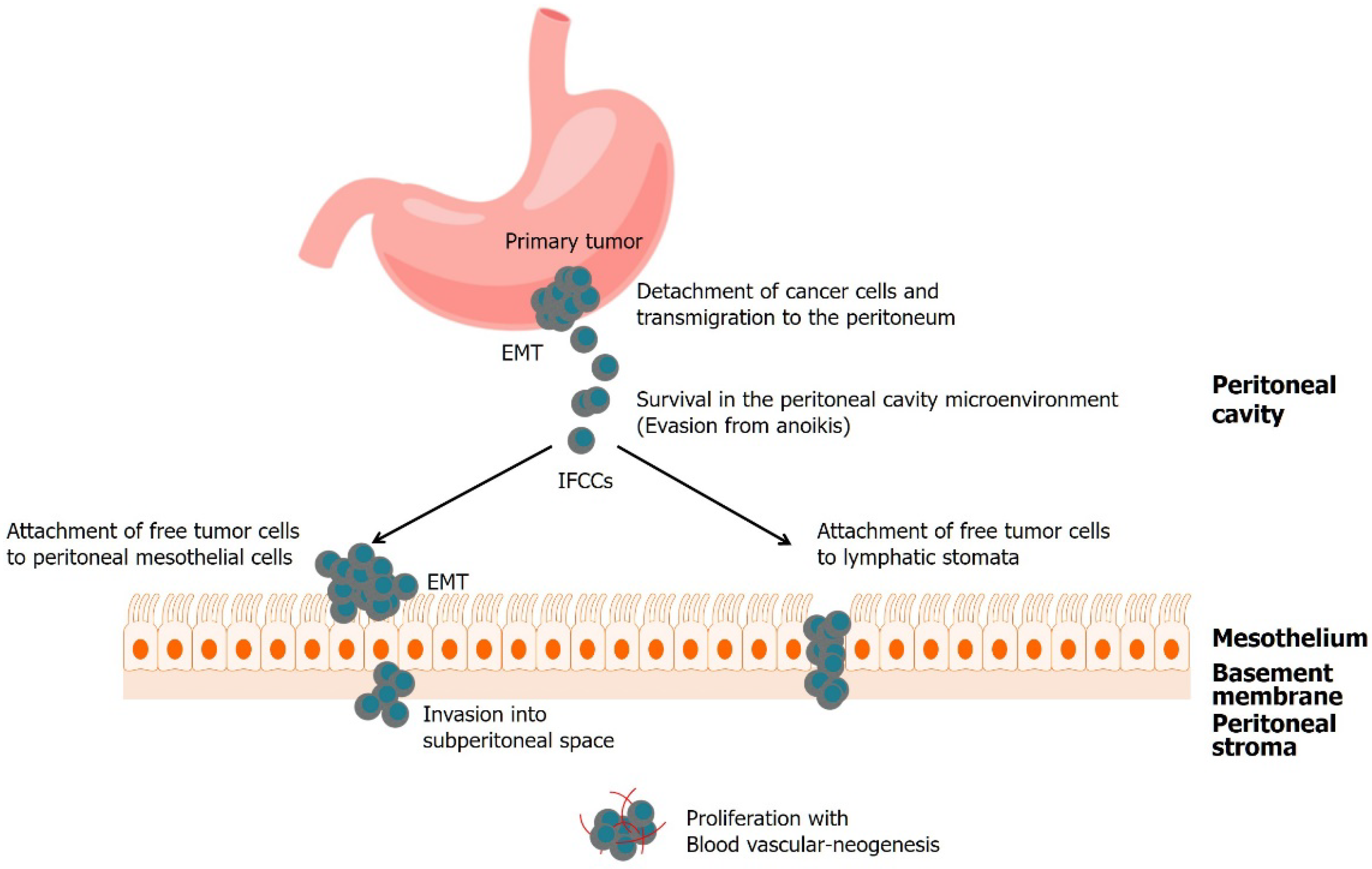 Biomedicines 10 01376 g001 Biomedicines 10 01376 g001