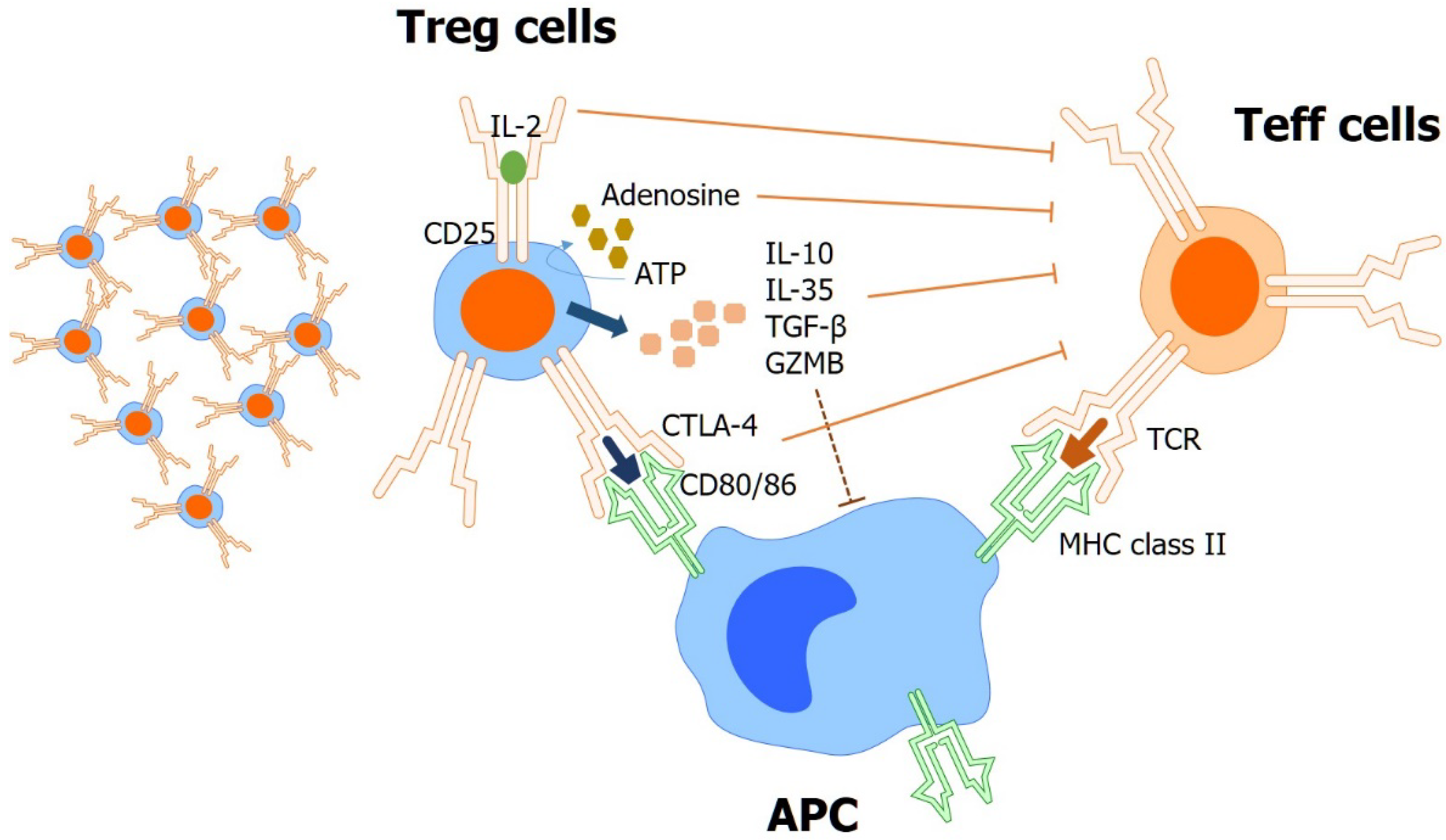 Biomedicines 10 01376 g003 Biomedicines 10 01376 g003