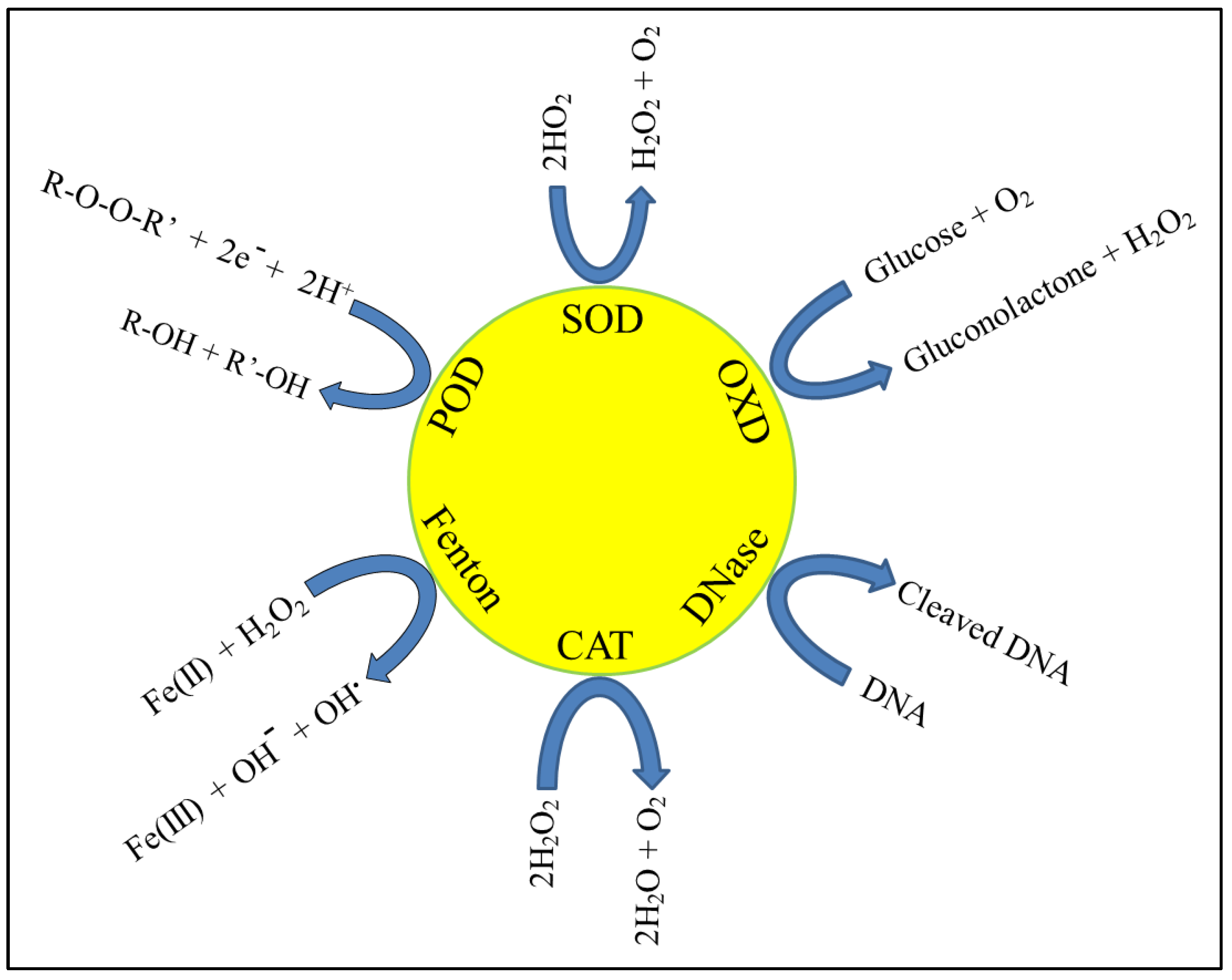 Biomedicines 10 01378 g001