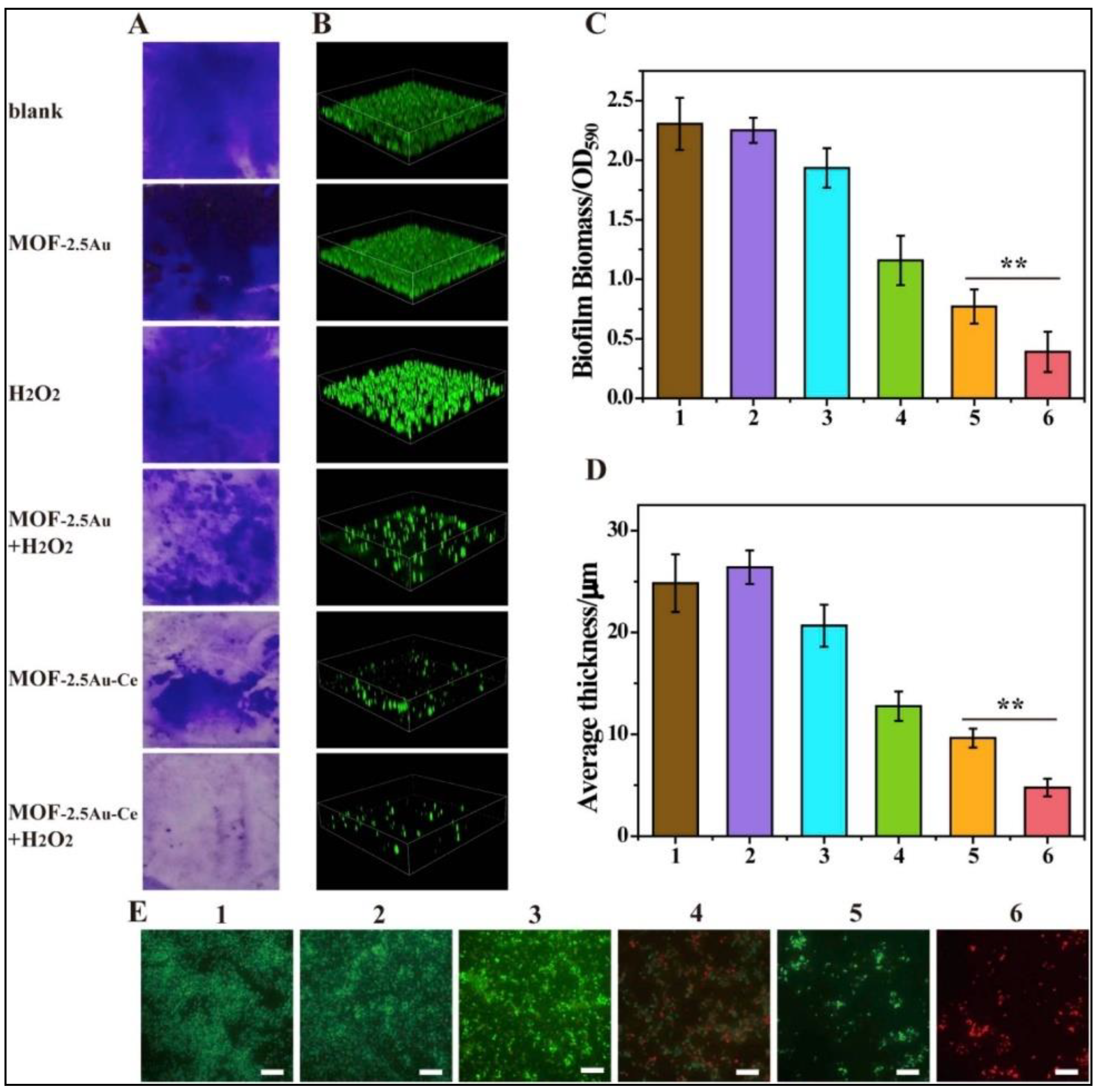 Biomedicines 10 01378 g005