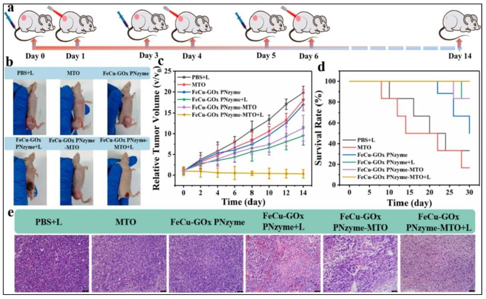 Biomedicines 10 01378 g006