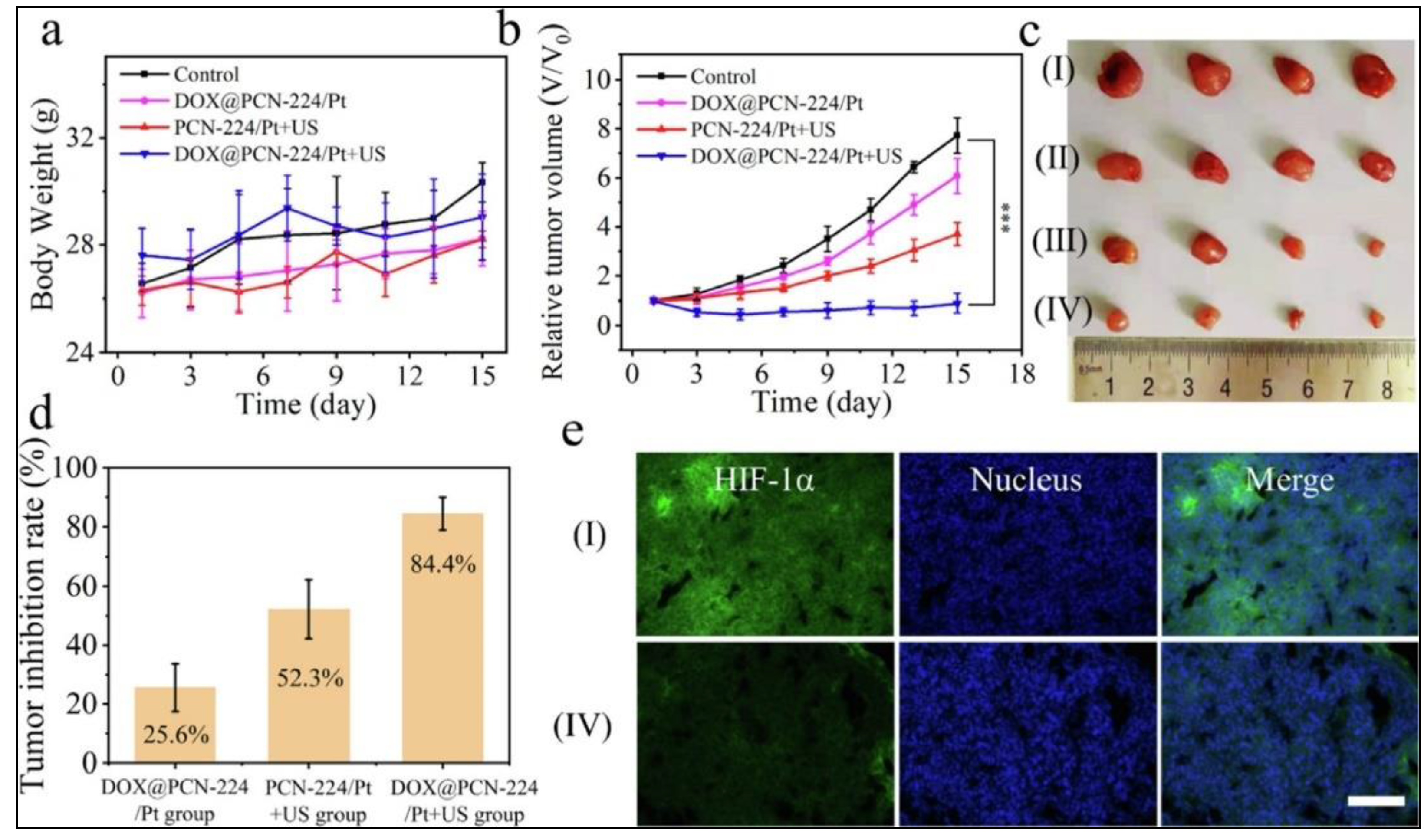 Biomedicines 10 01378 g007