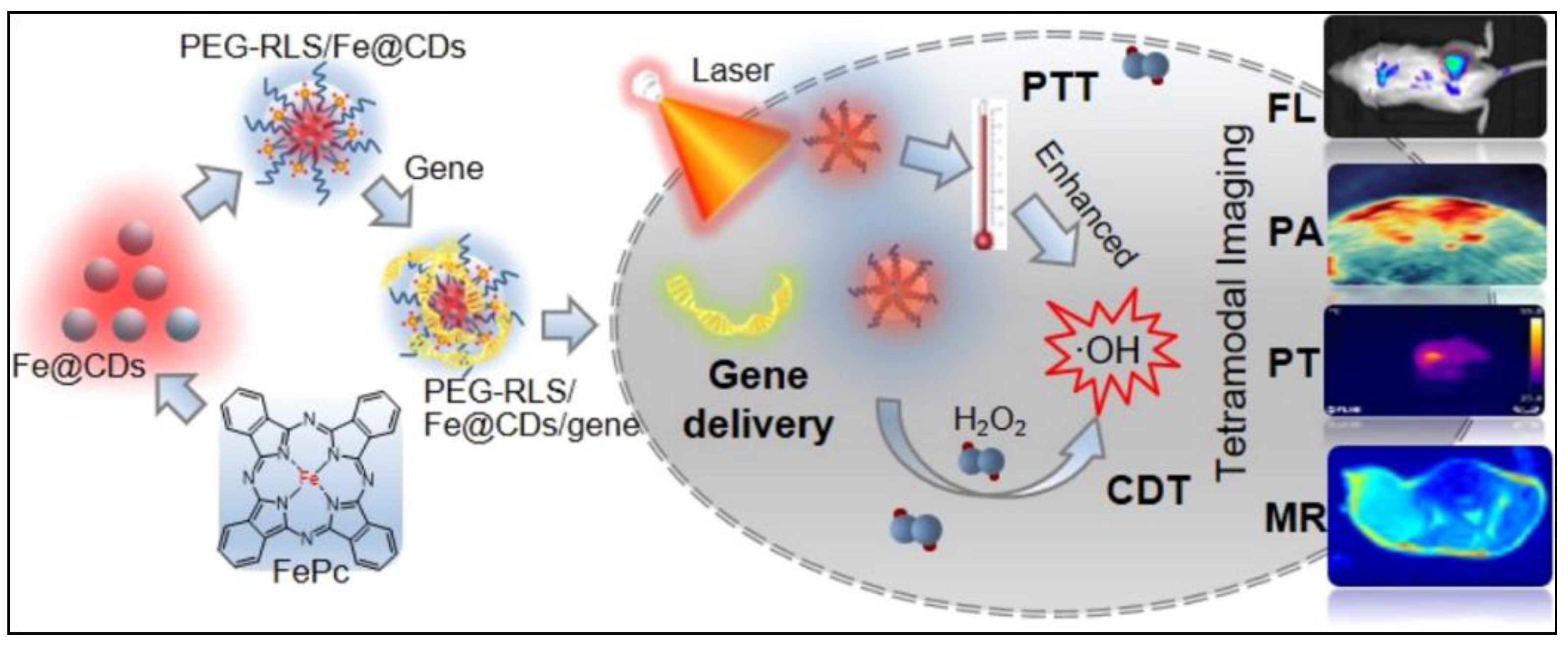 Biomedicines 10 01378 g009