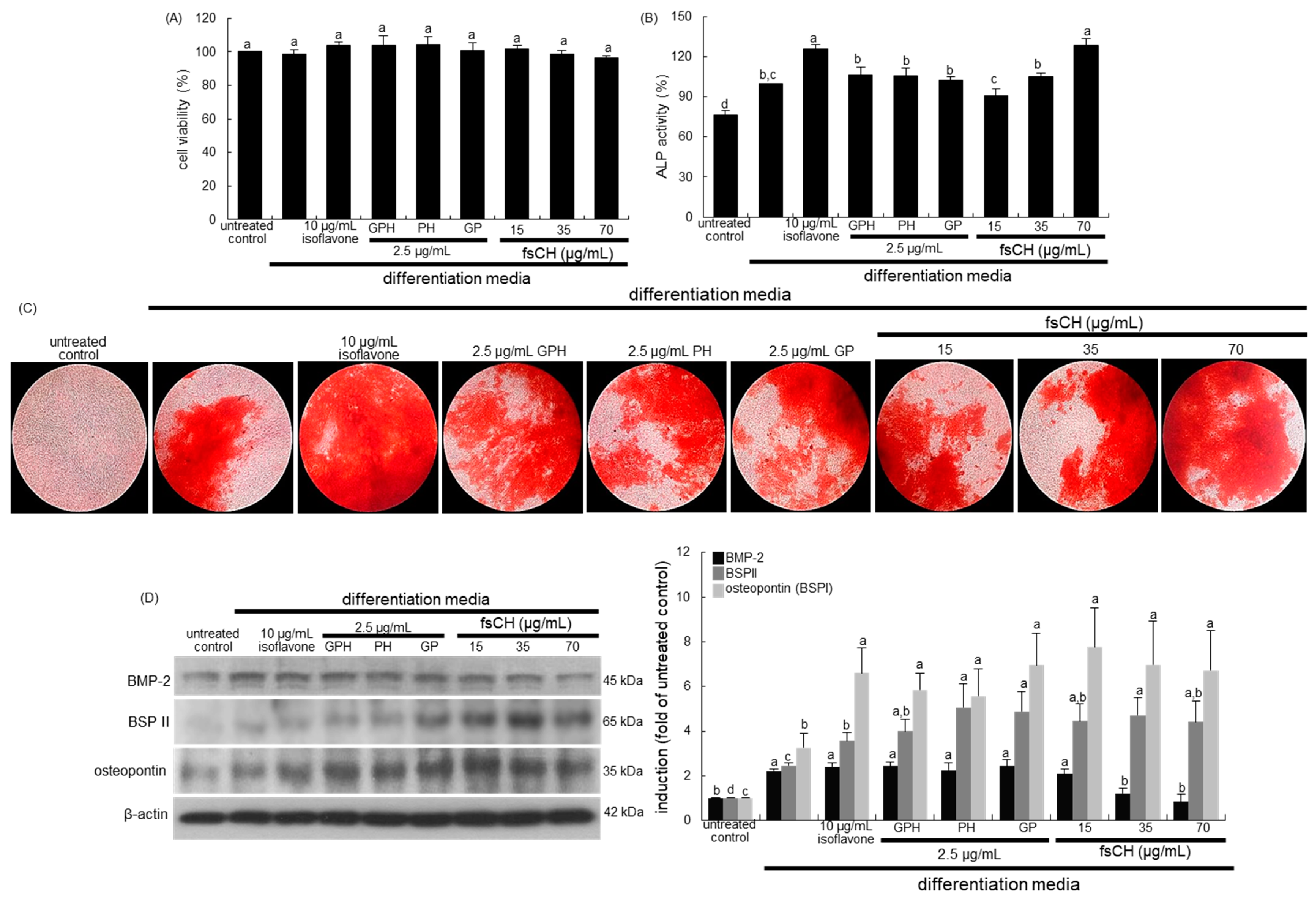 Biomedicines 10 01382 g006 Biomedicines 10 01382 g006
