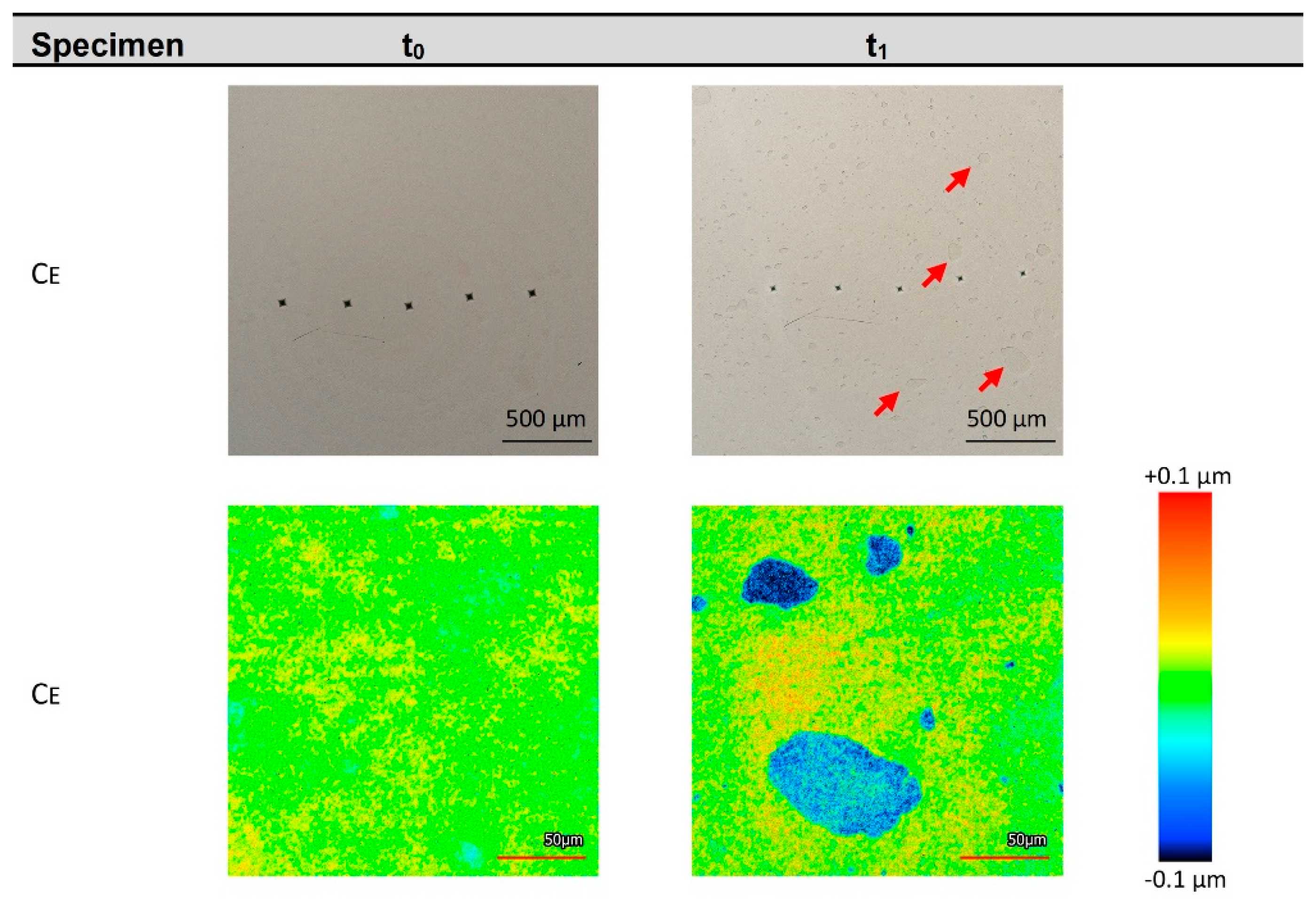 Biomedicines 10 01383 g002