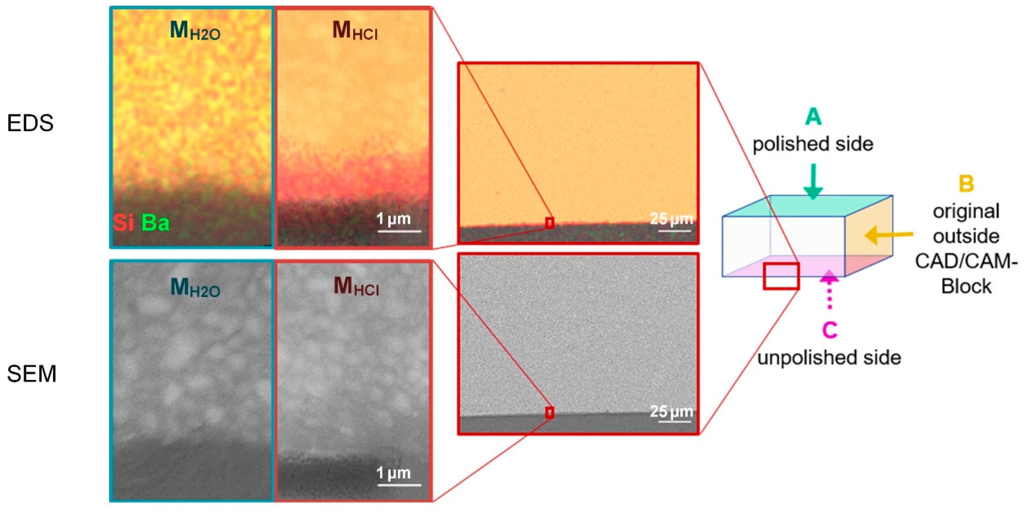 Biomedicines 10 01383 g004