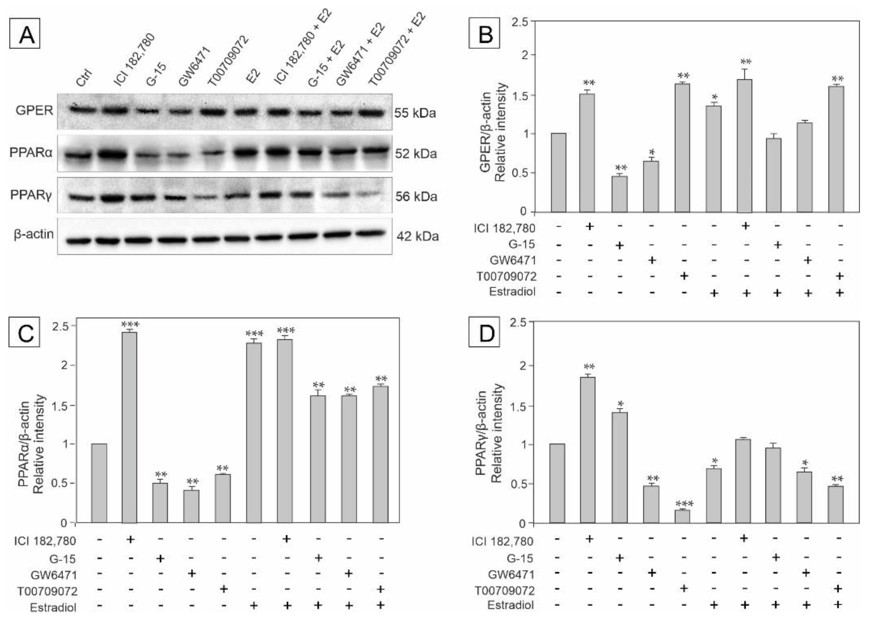 Biomedicines 10 01390 g001