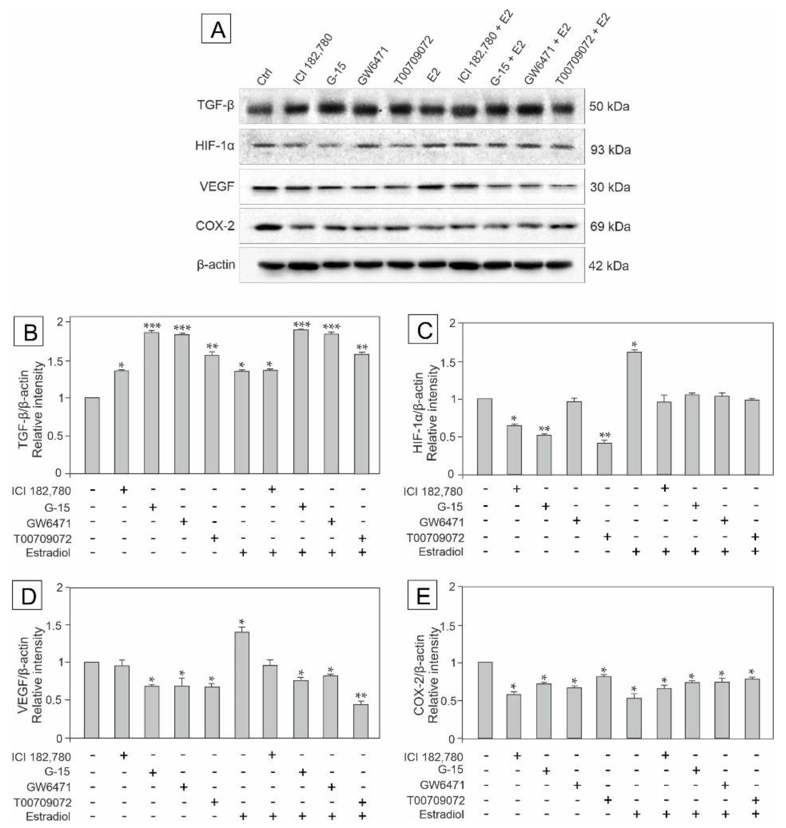 Biomedicines 10 01390 g003