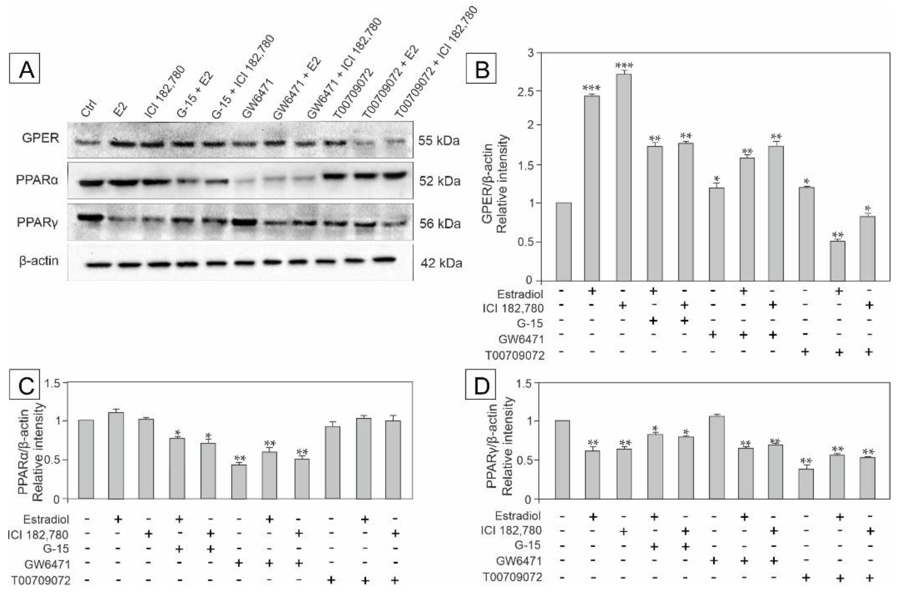 Biomedicines 10 01390 g004