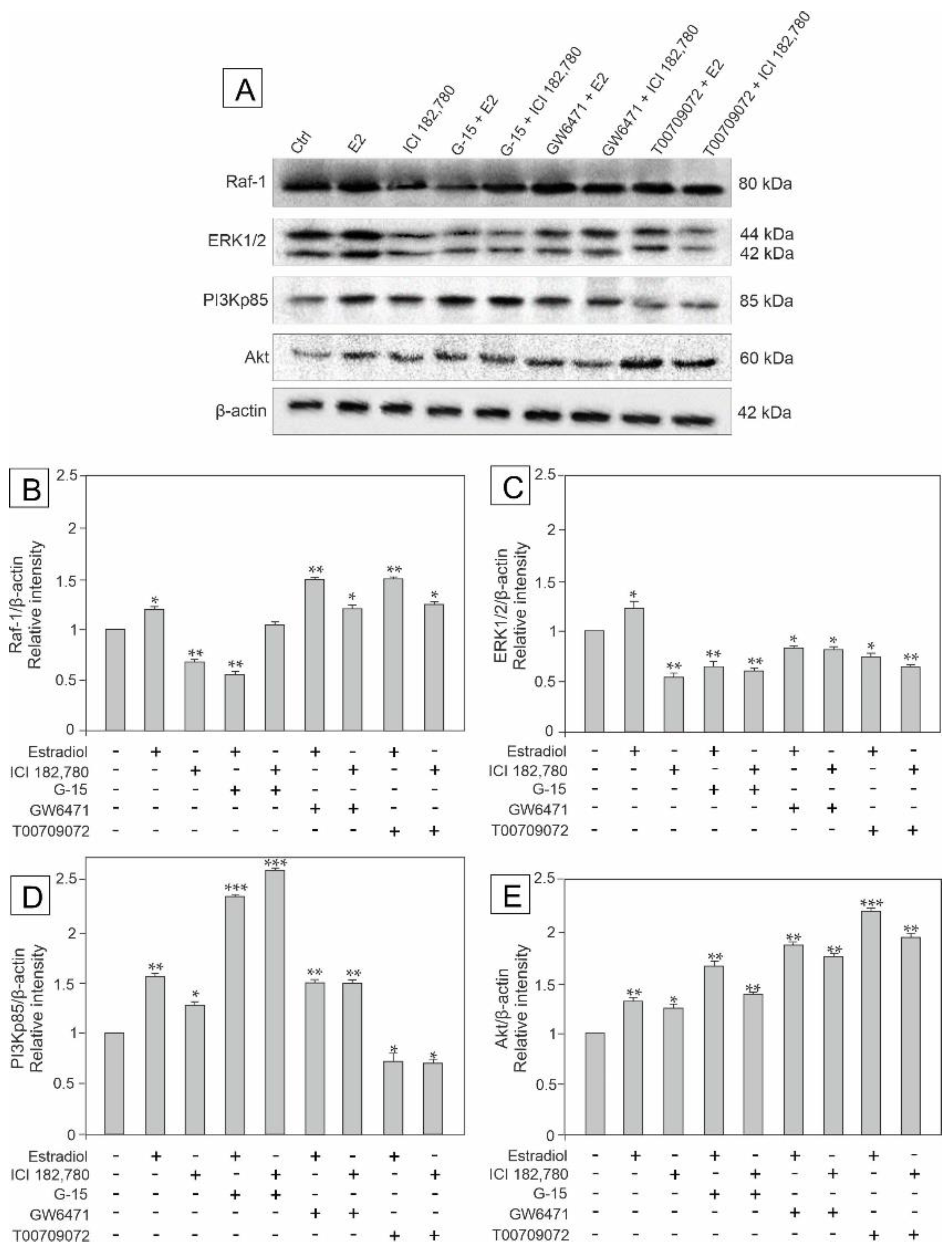 Biomedicines 10 01390 g005