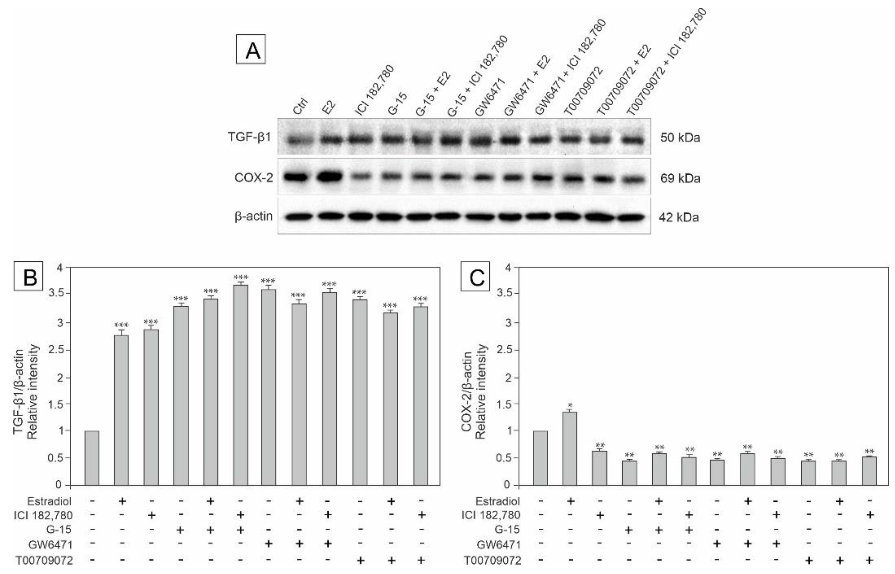 Biomedicines 10 01390 g006