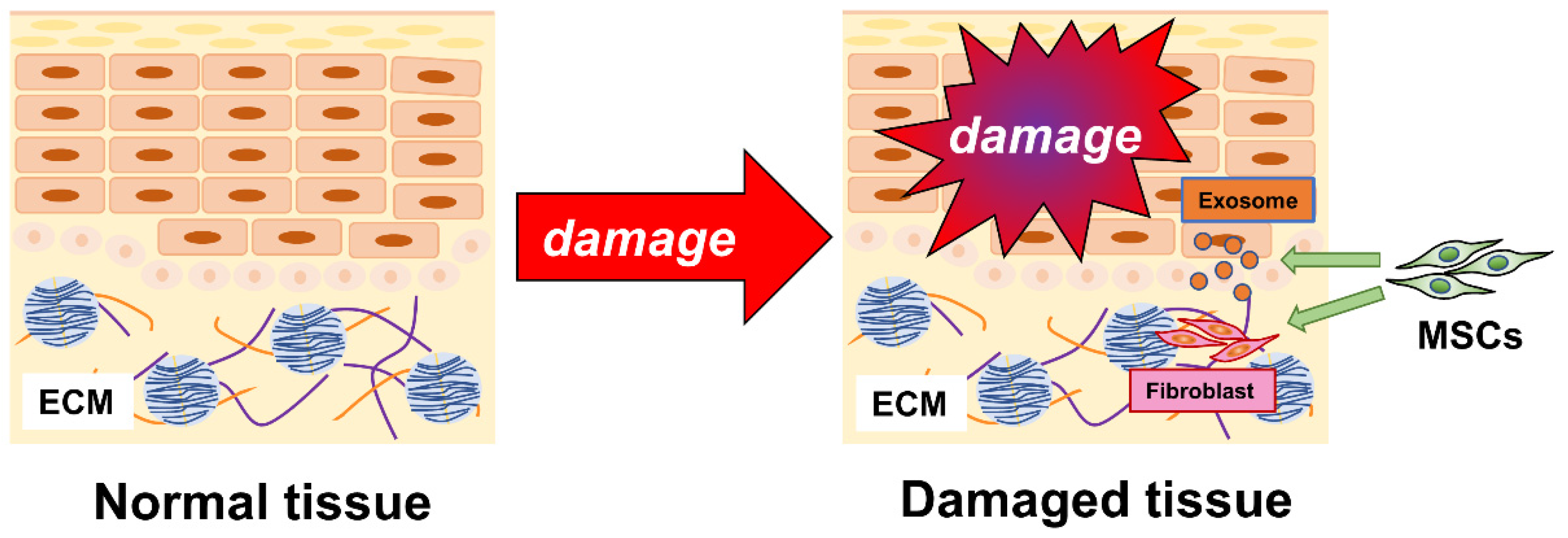 Biomedicines 10 01391 g001 Biomedicines 10 01391 g001