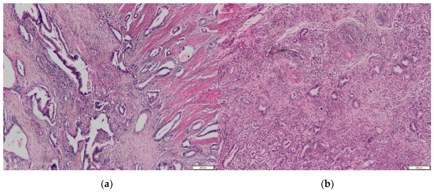 Biomedicines 10 01392 g001 550