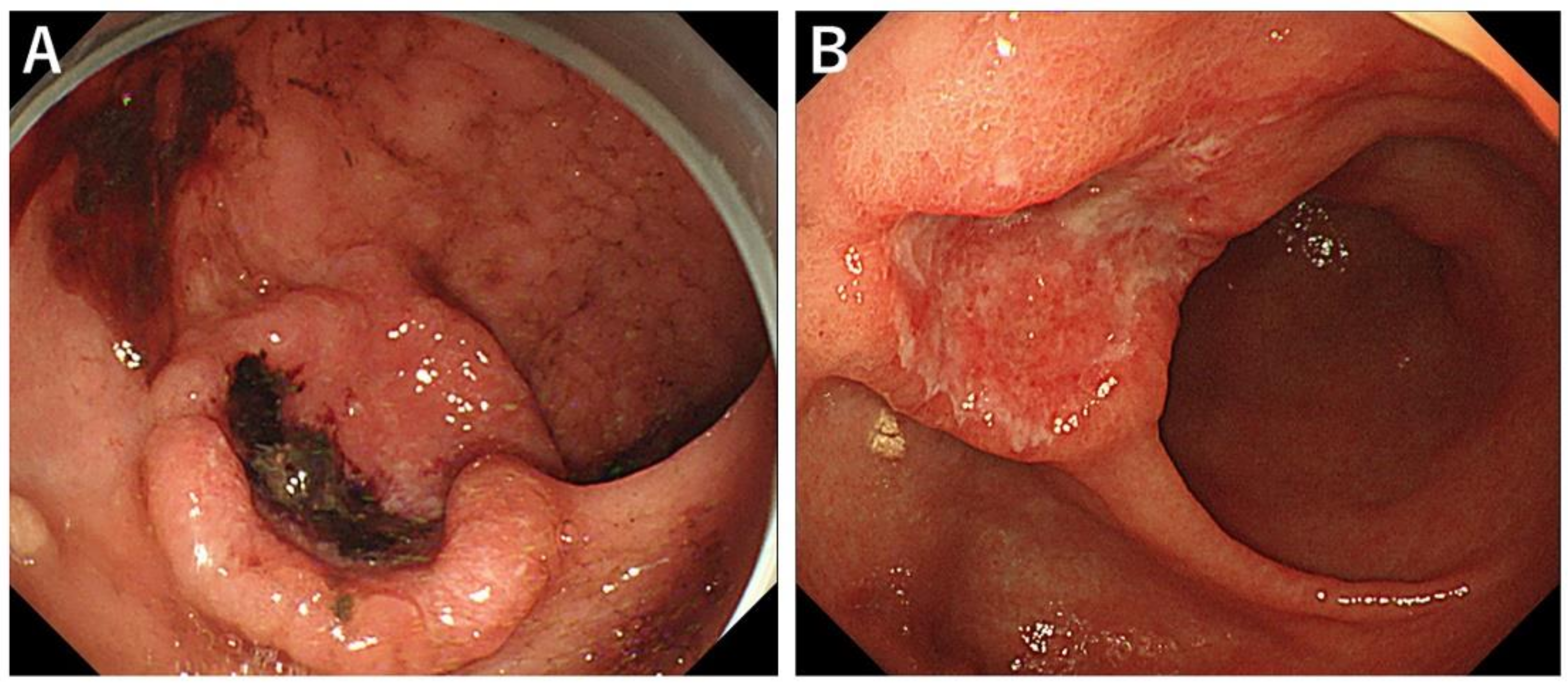 Biomedicines 10 01394 g003