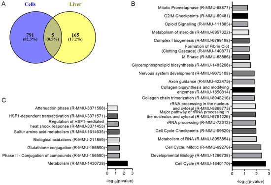 Murine Falcor/LL35 lncRNA Contributes to Glucose and Lipid