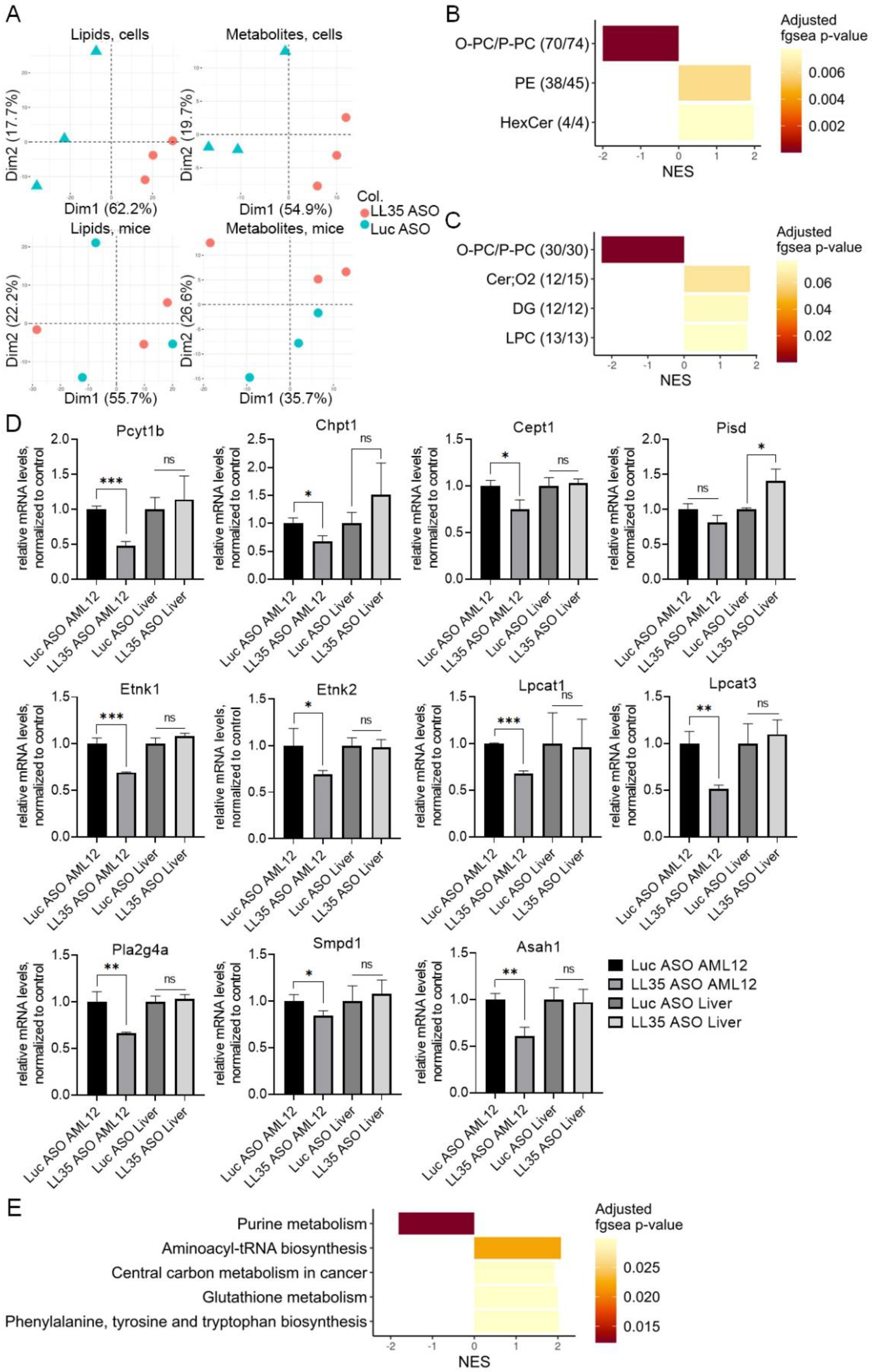 Biomedicines 10 01397 g004