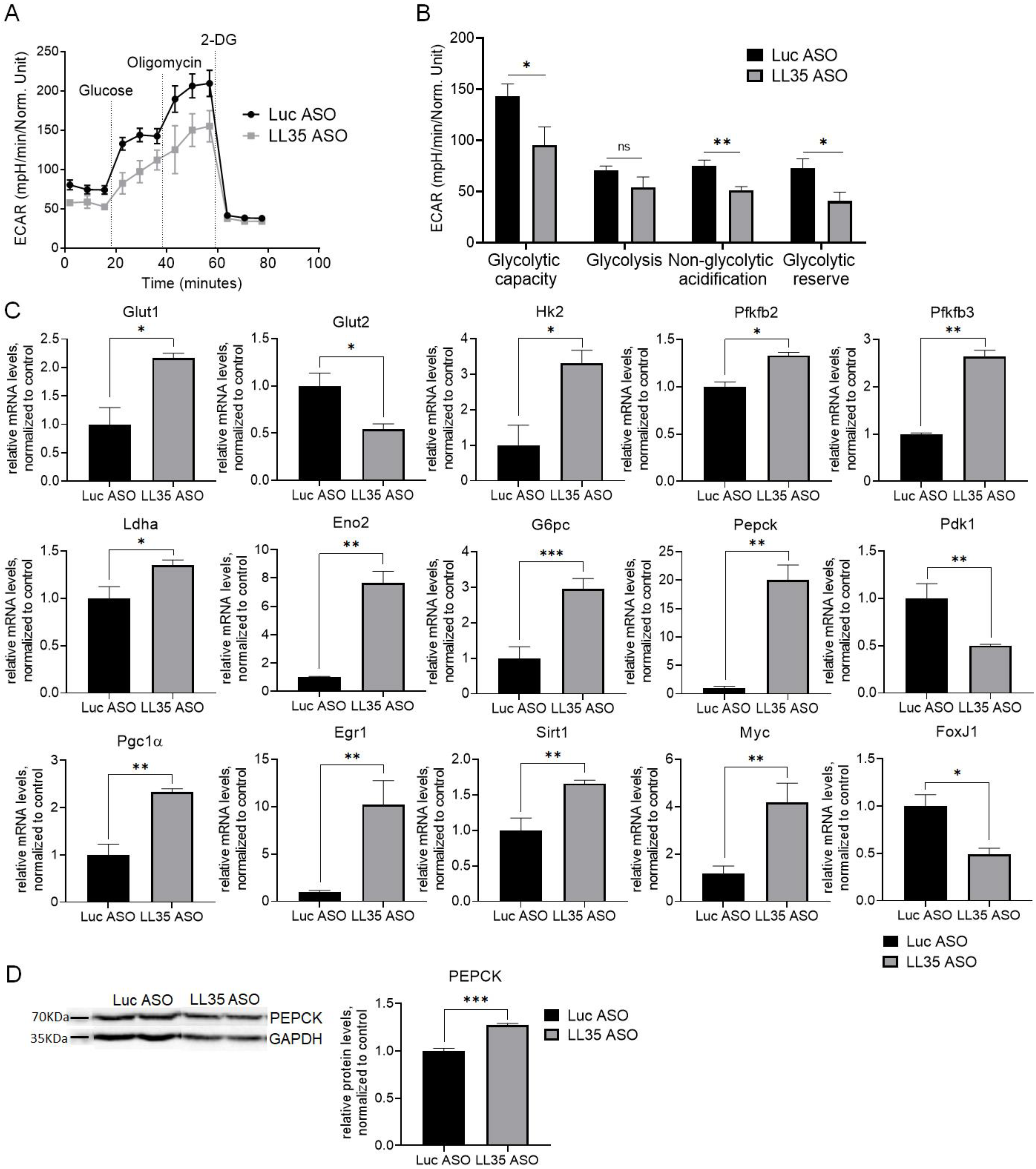 Biomedicines 10 01397 g005