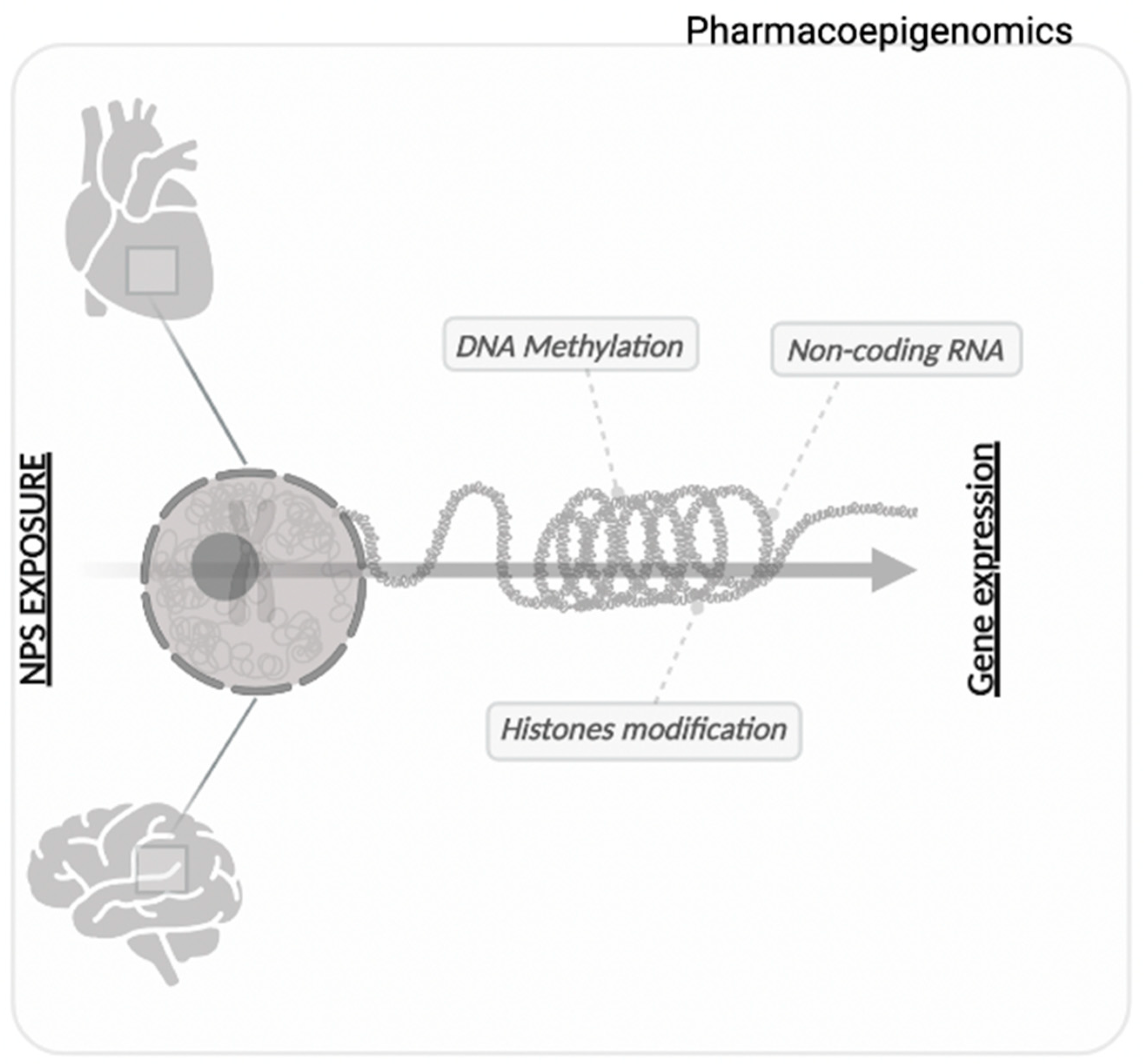 Biomedicines 10 01398 g001 Biomedicines 10 01398 g001