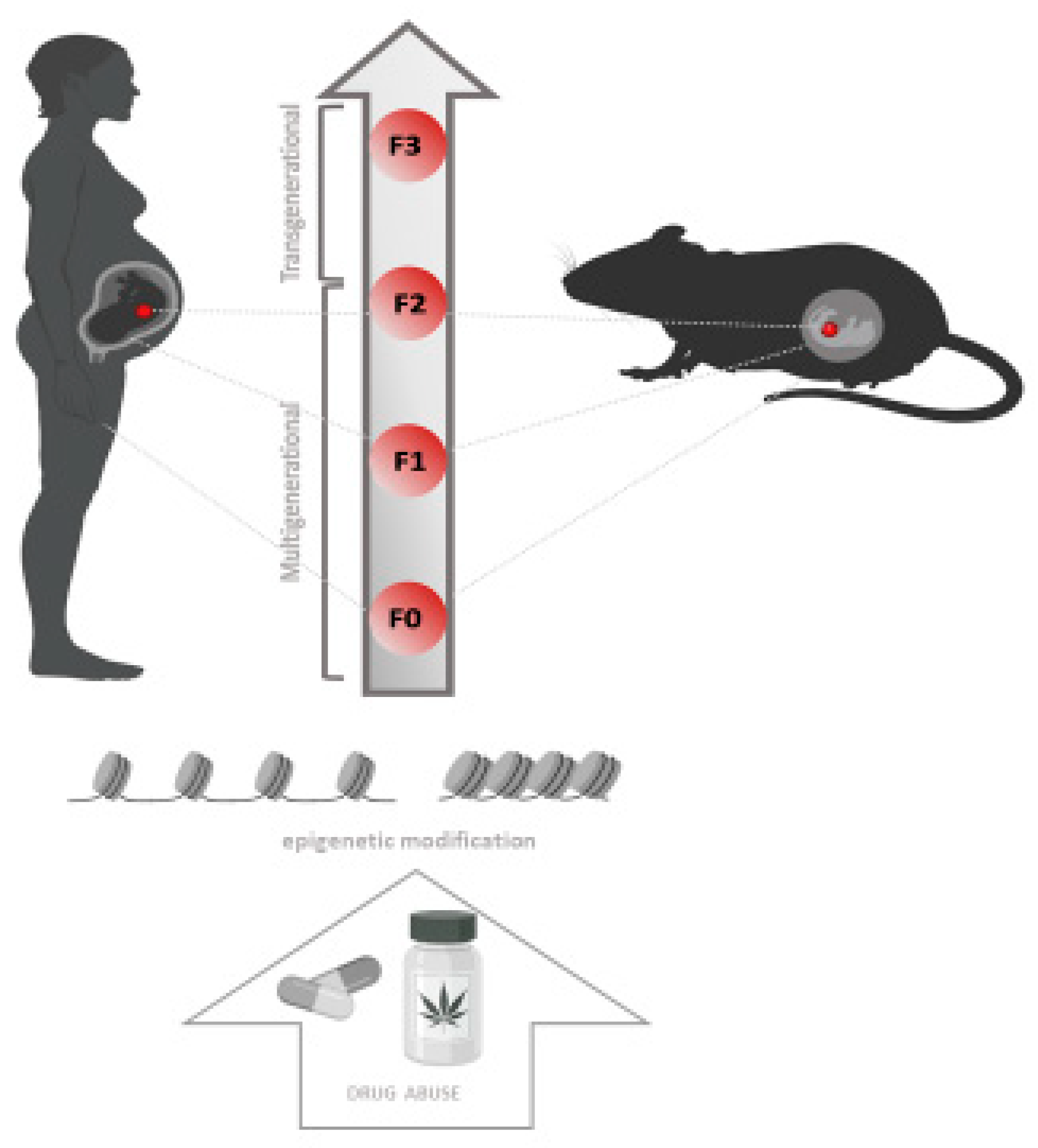 Biomedicines 10 01398 g002 Biomedicines 10 01398 g002