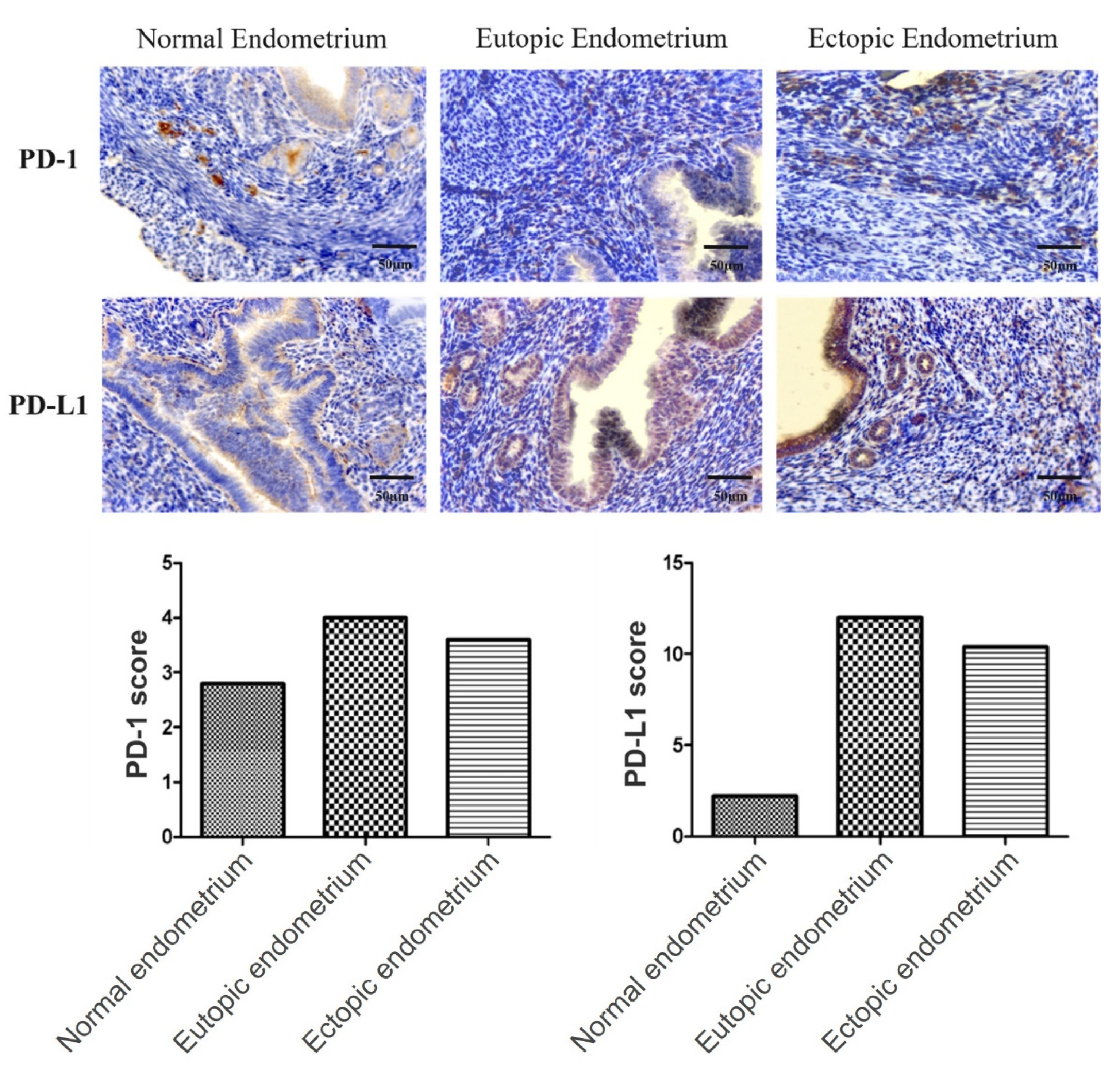 Biomedicines 10 01403 g003