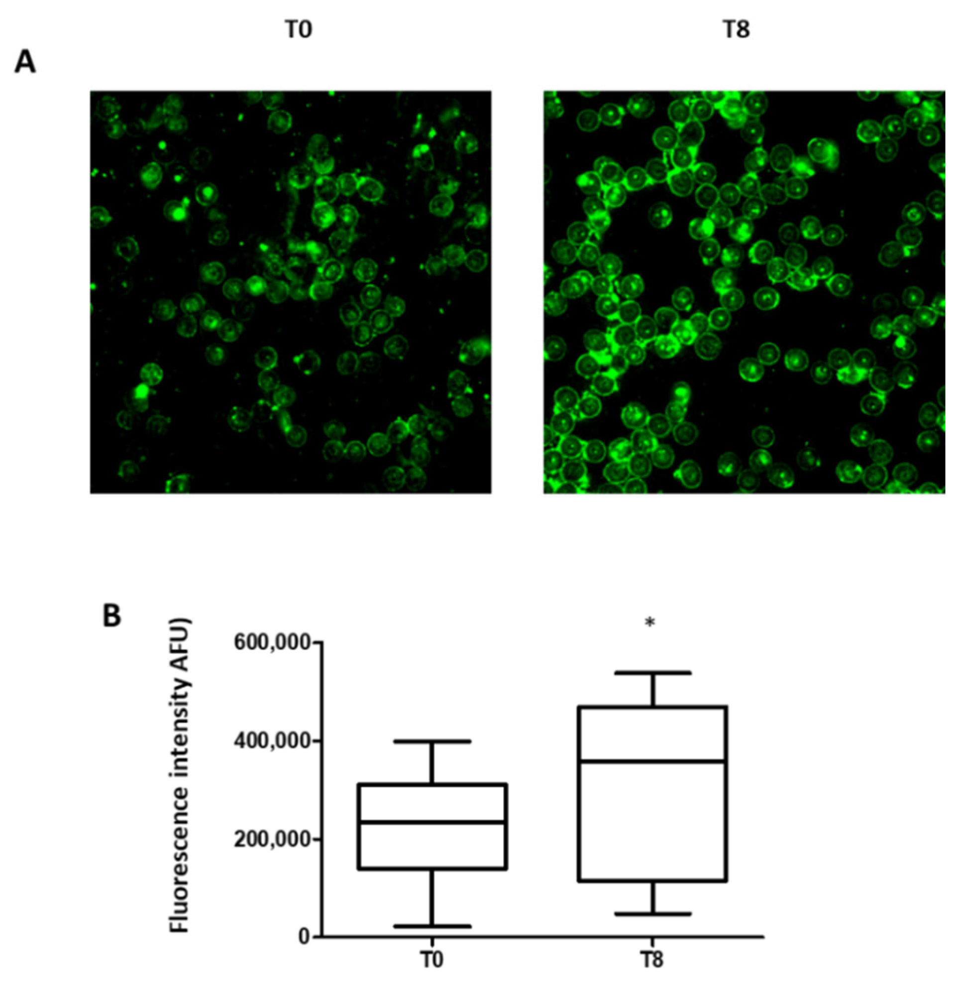 Biomedicines 10 01407 g004
