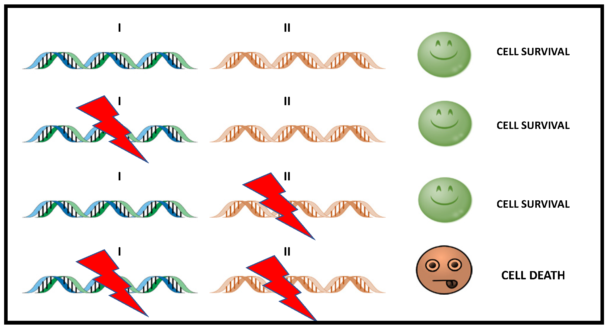Biomedicines 10 01416 g001 Biomedicines 10 01416 g001
