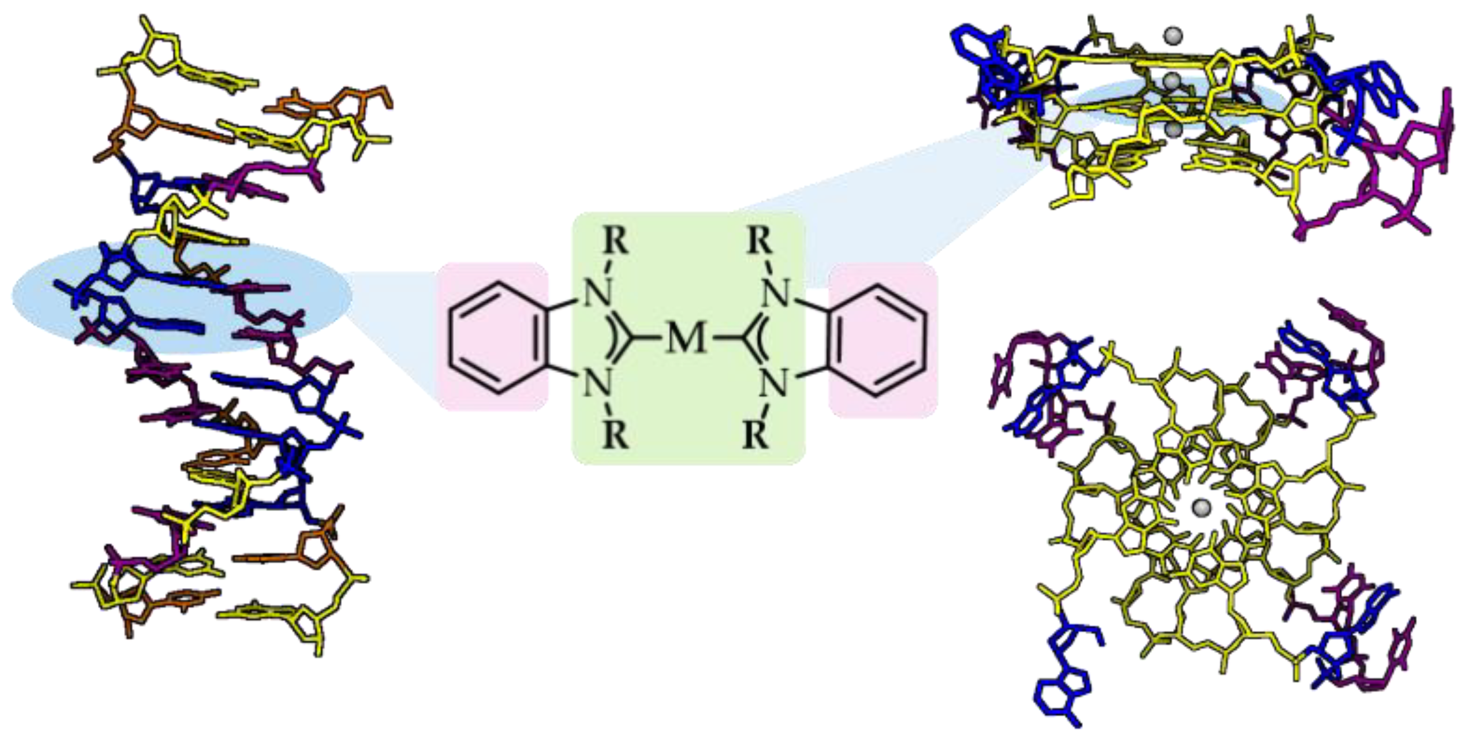 Biomedicines 10 01417 g007