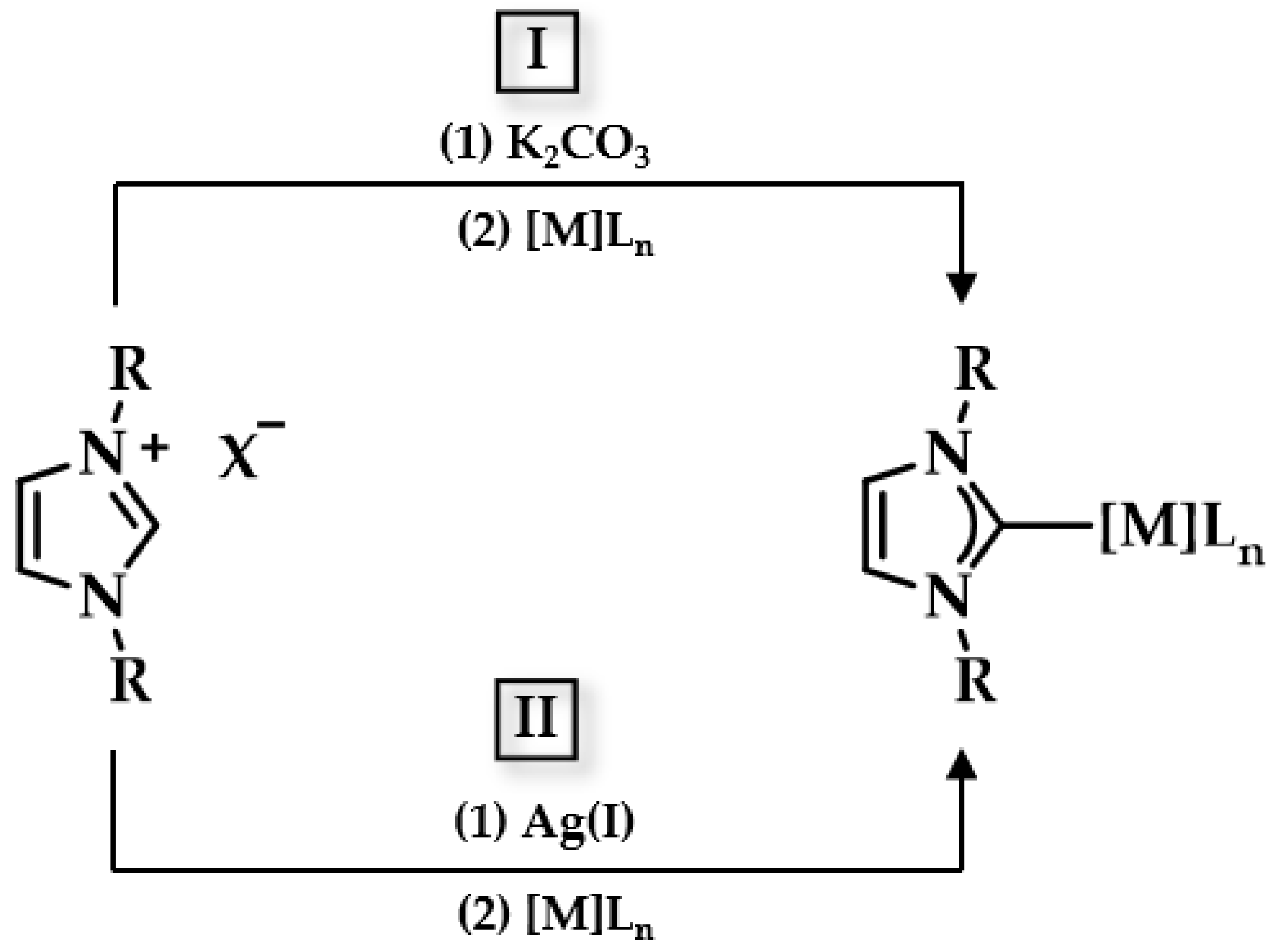 Biomedicines 10 01417 g009