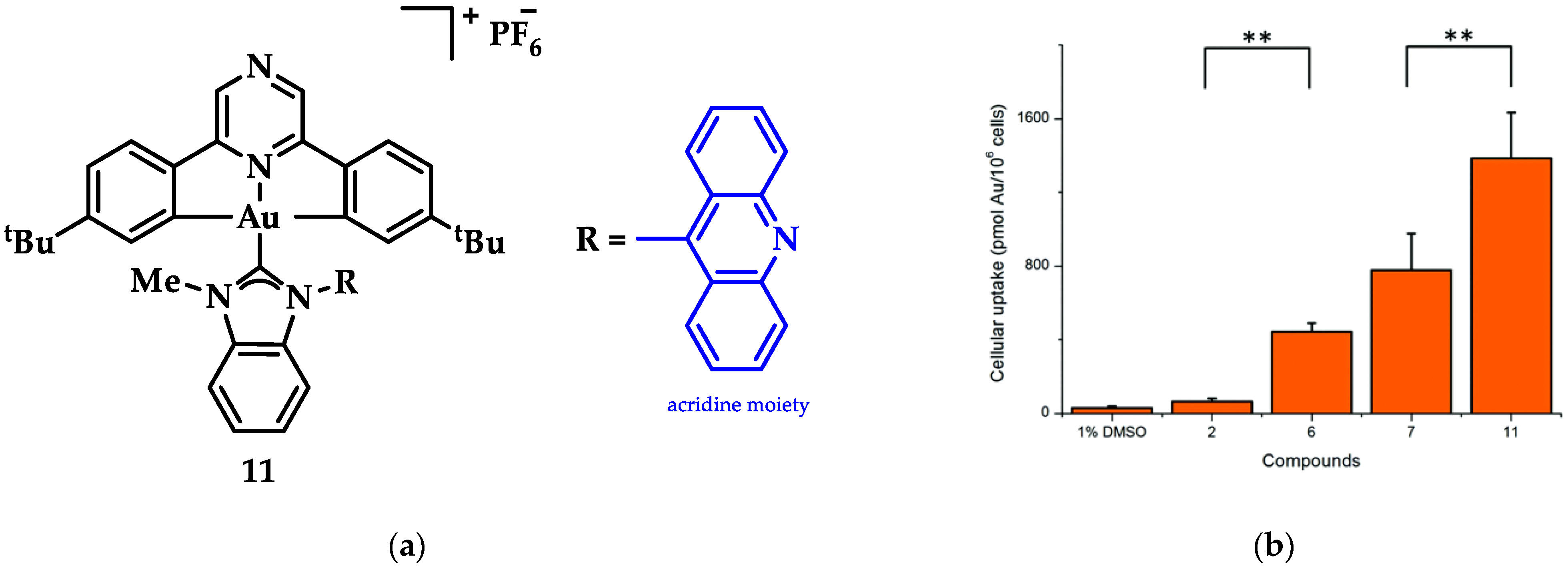 Biomedicines 10 01417 g018