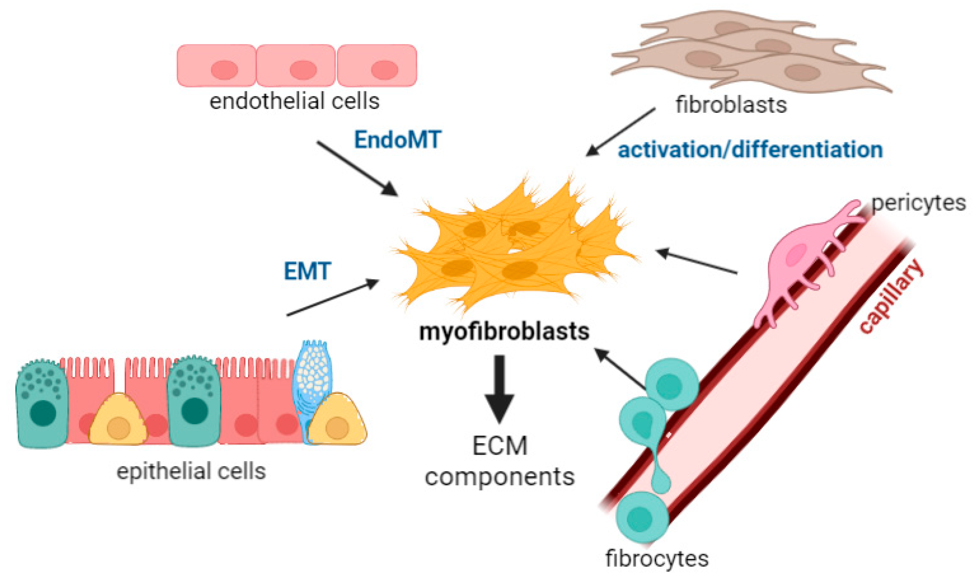 Biomedicines 10 01423 g002