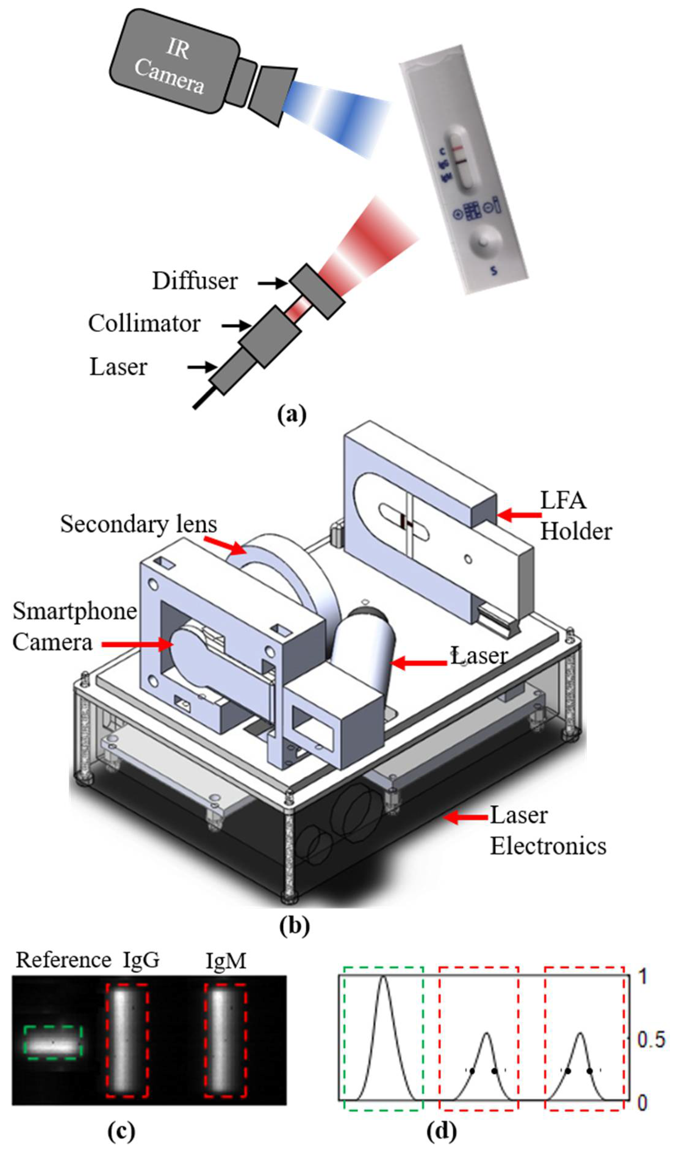 Biomedicines 10 01424 g001 550