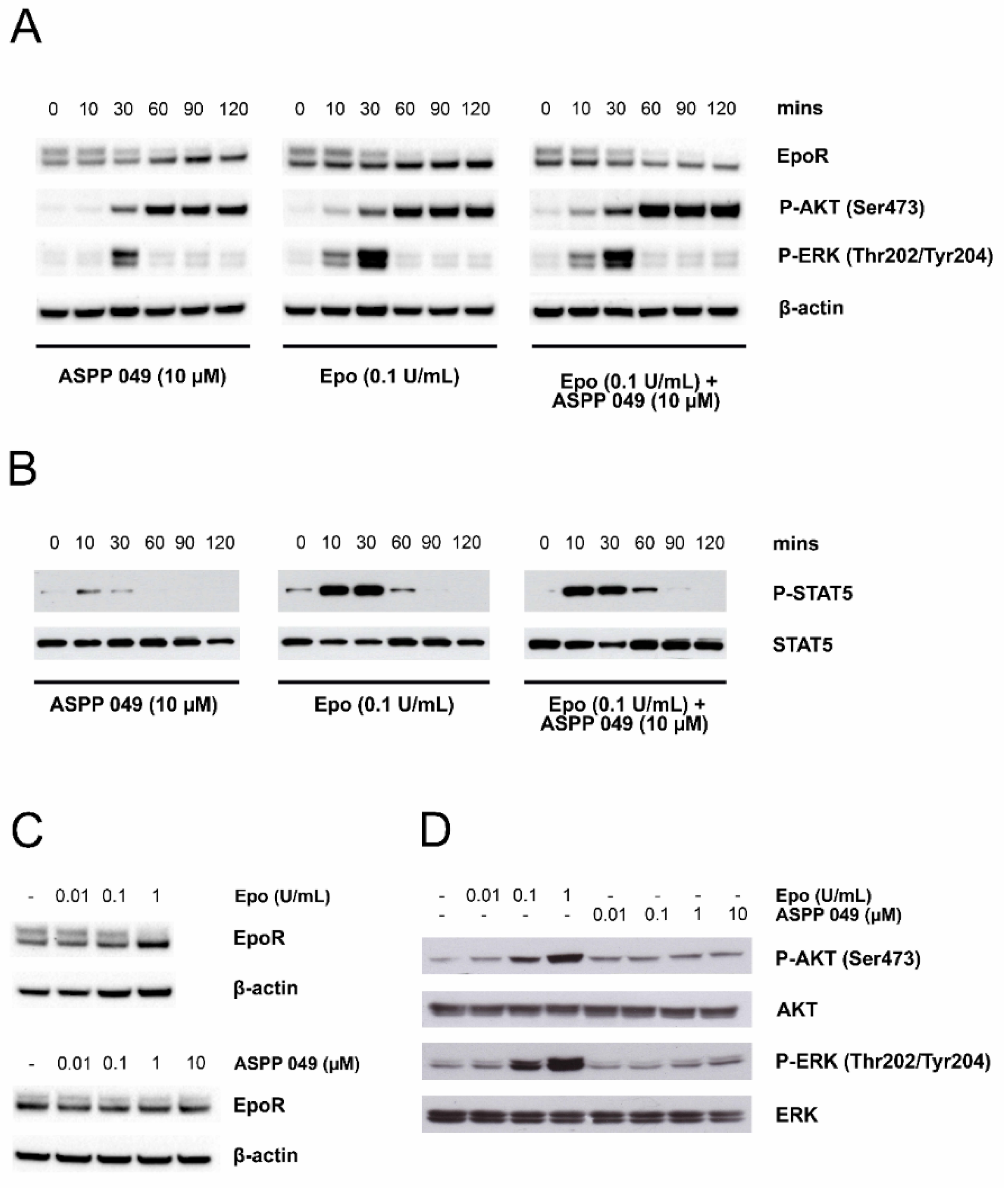 Biomedicines 10 01427 g006