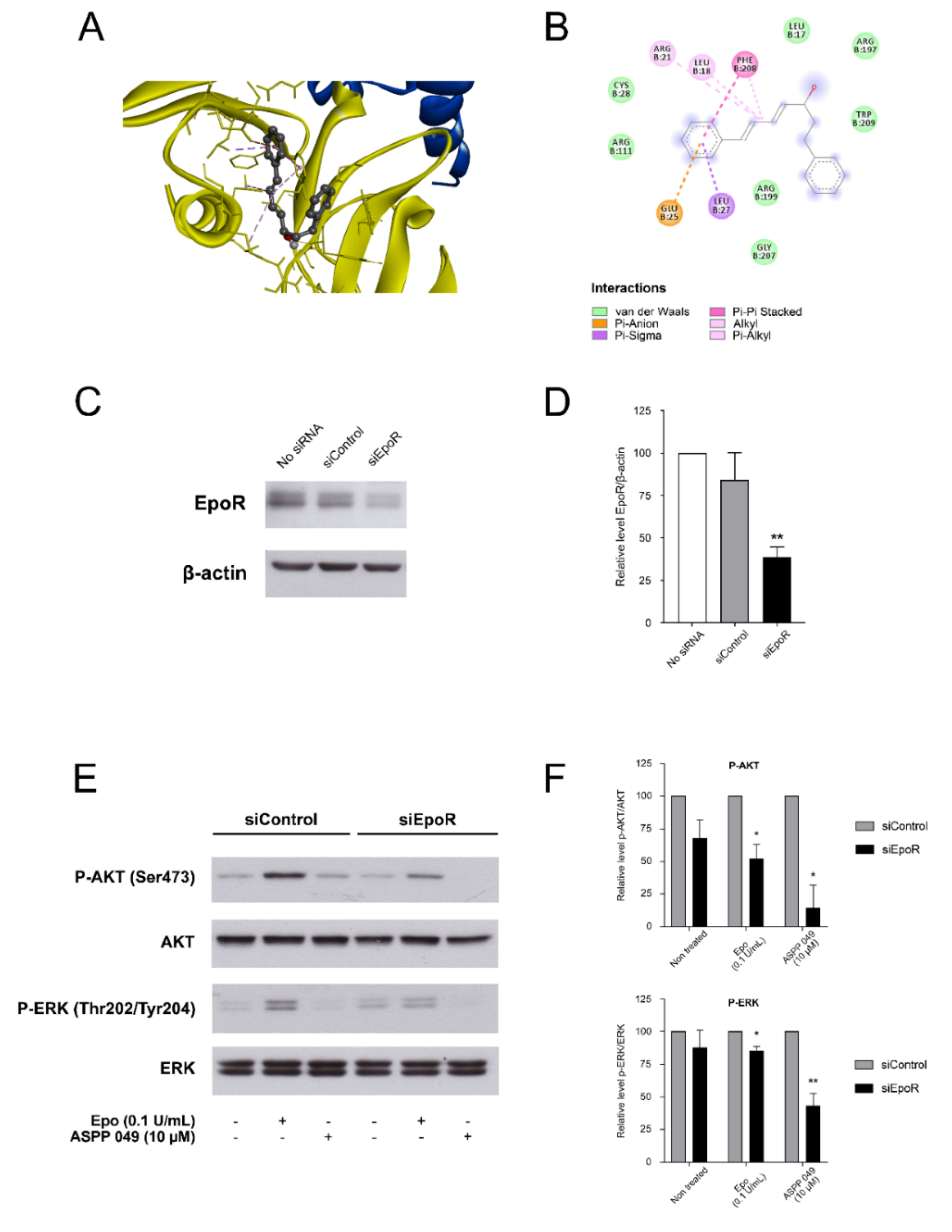 Biomedicines 10 01427 g007