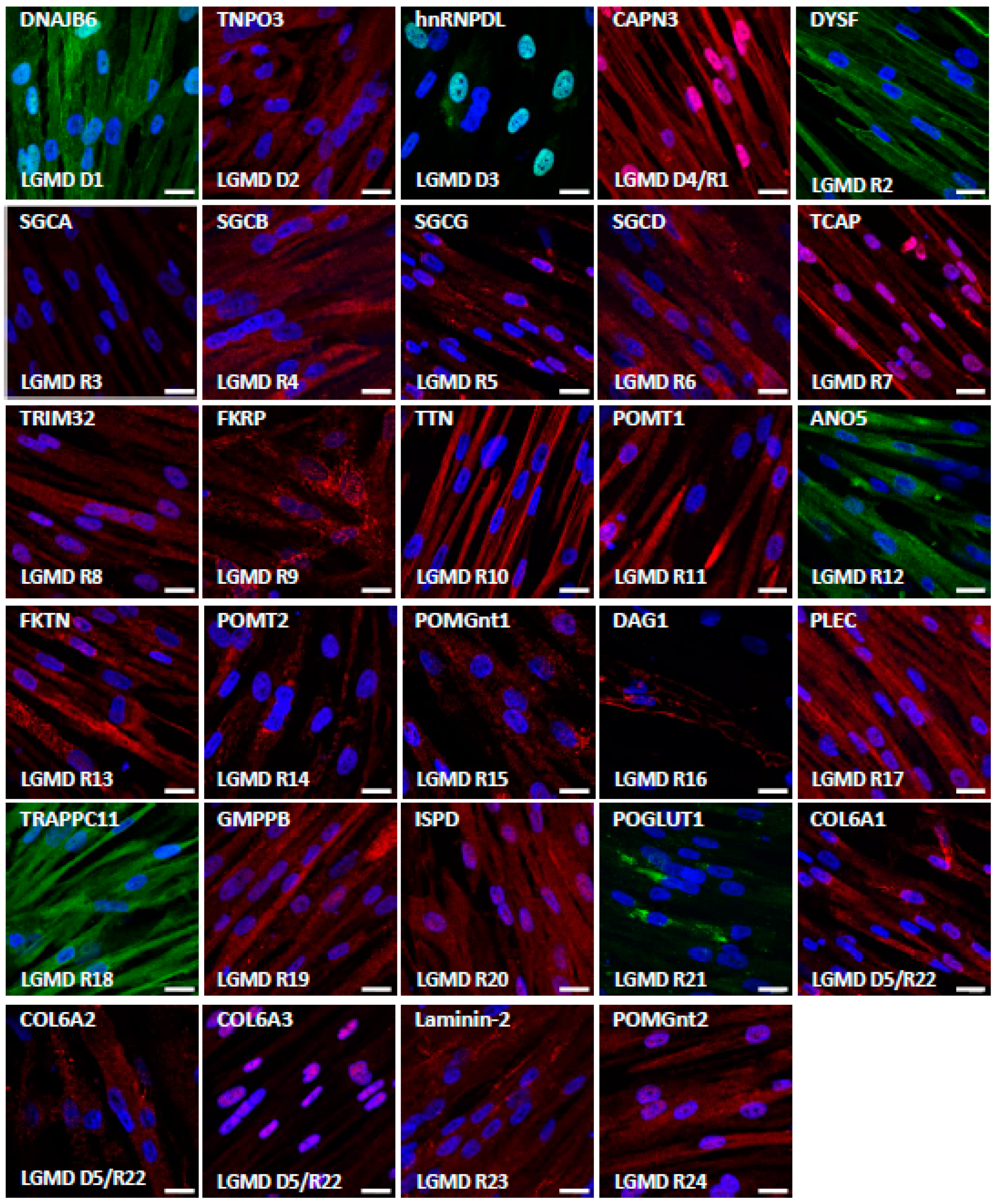 Biomedicines 10 01428 g004