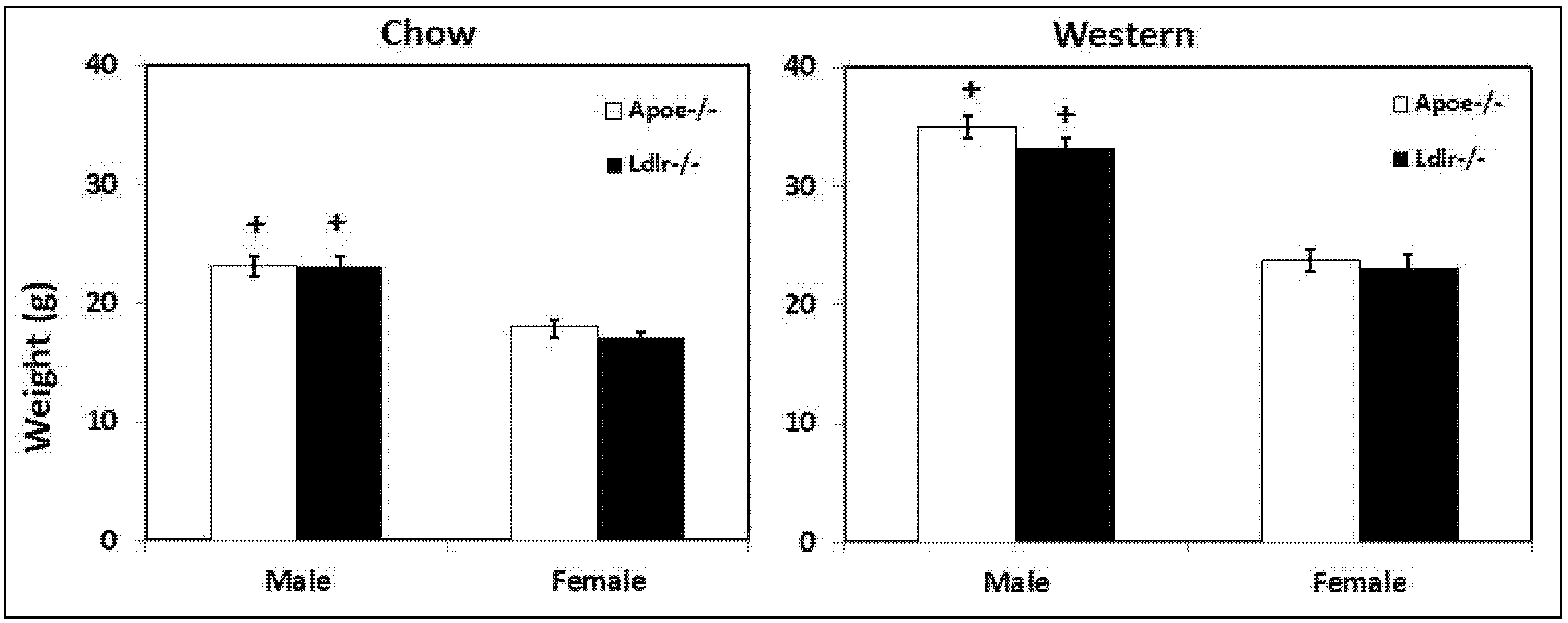 Biomedicines 10 01429 g007