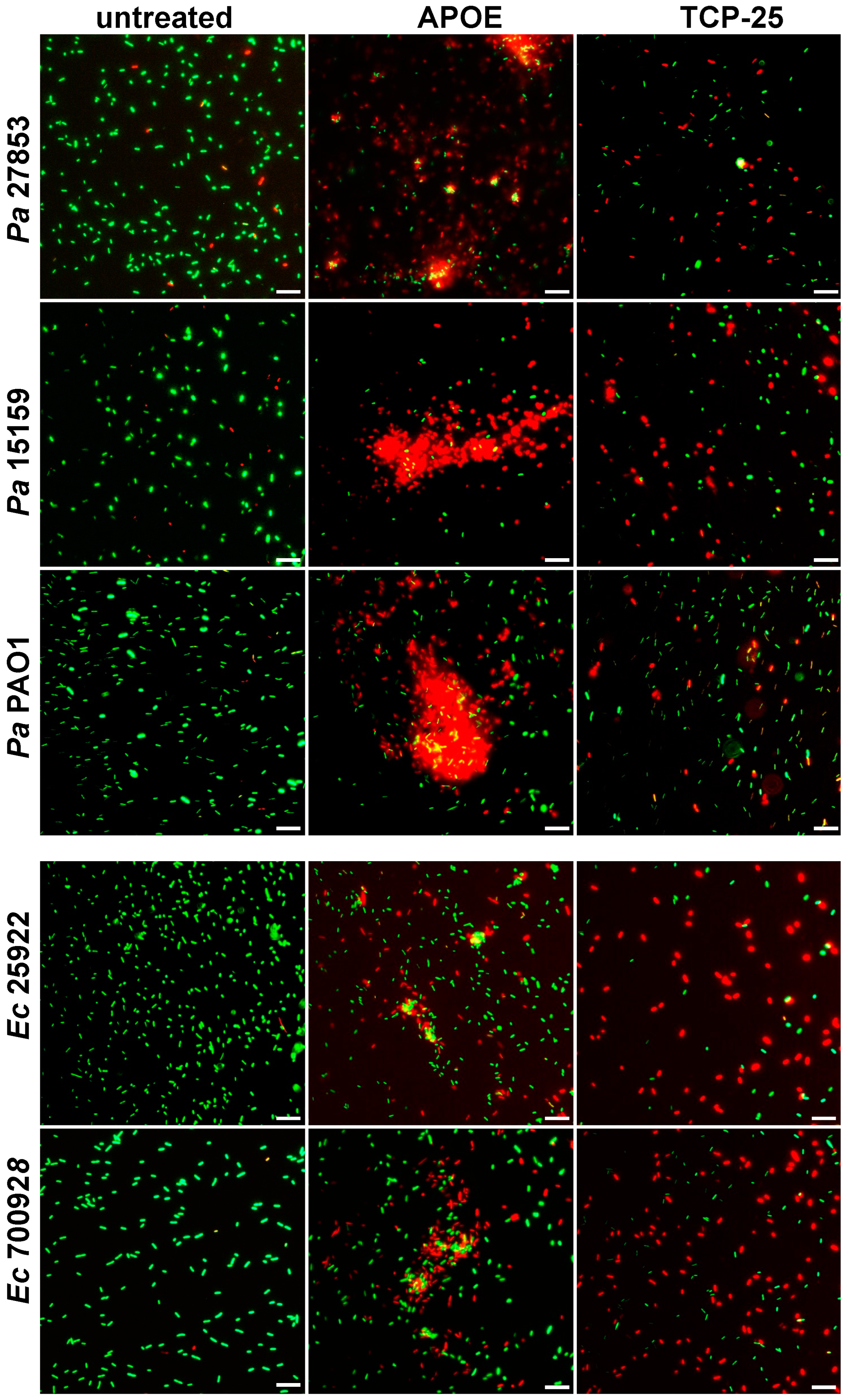 Biomedicines 10 01430 g002