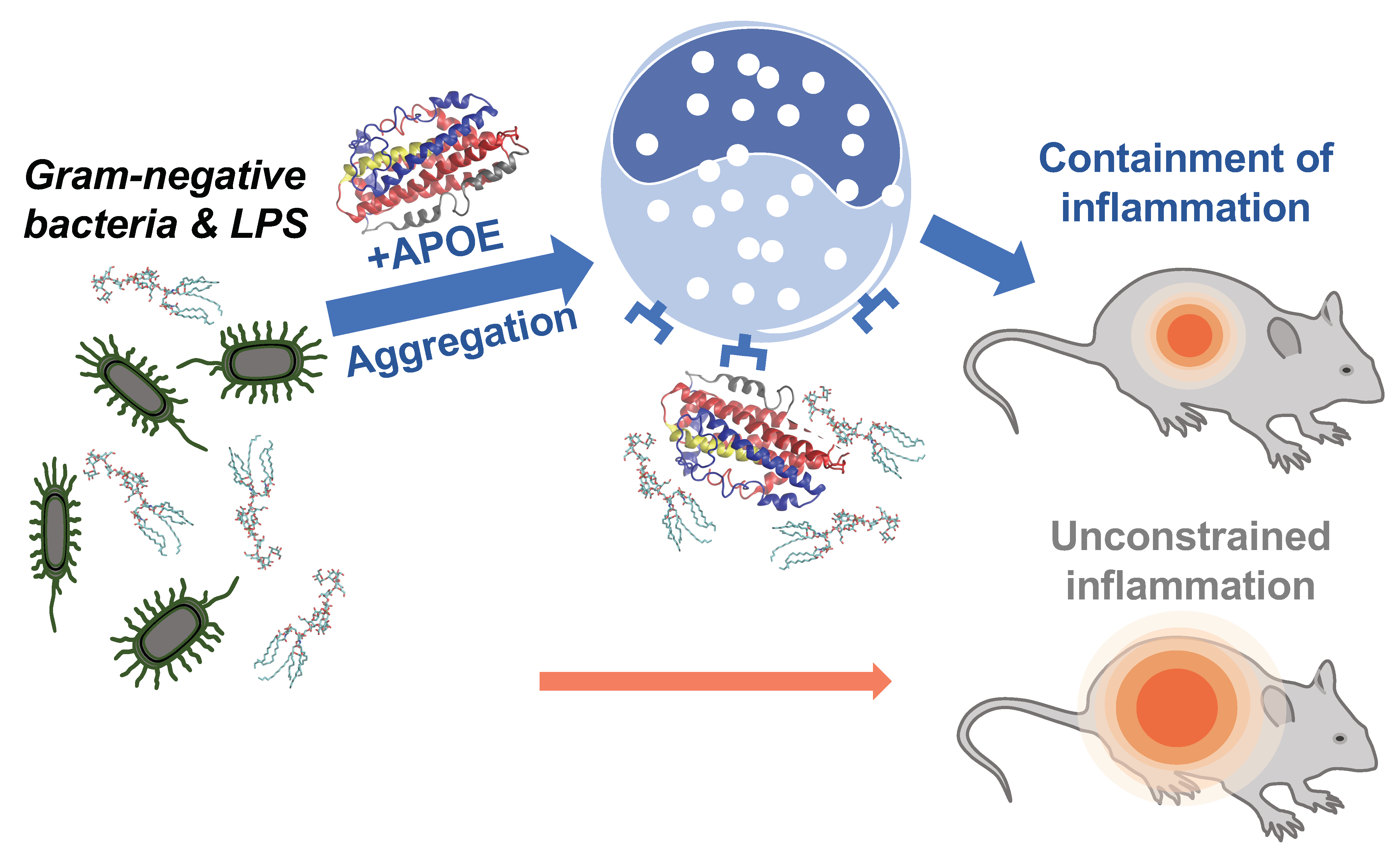 Biomedicines 10 01430 g009
