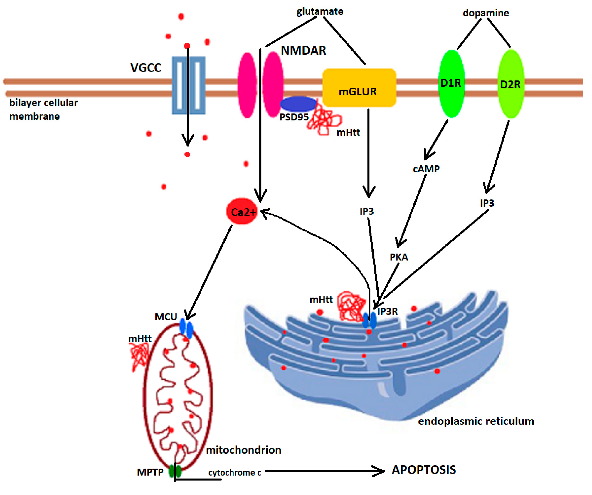 Biomedicines 10 01432 g002 Biomedicines 10 01432 g002