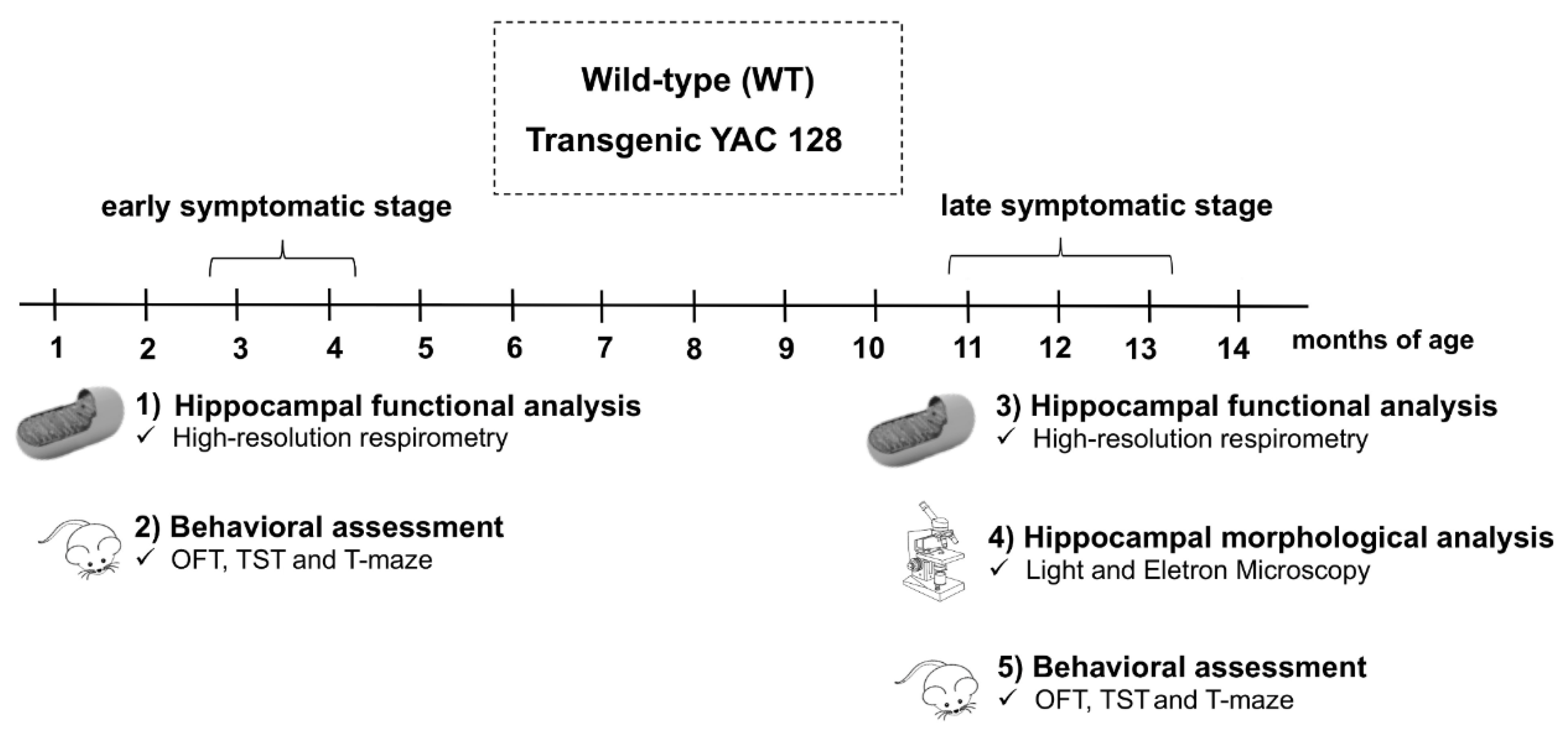 Biomedicines 10 01433 g001