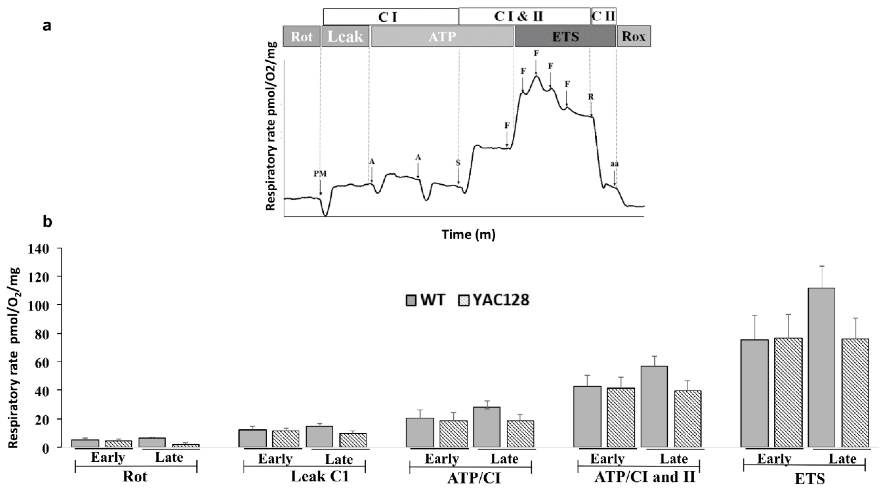 Biomedicines 10 01433 g004