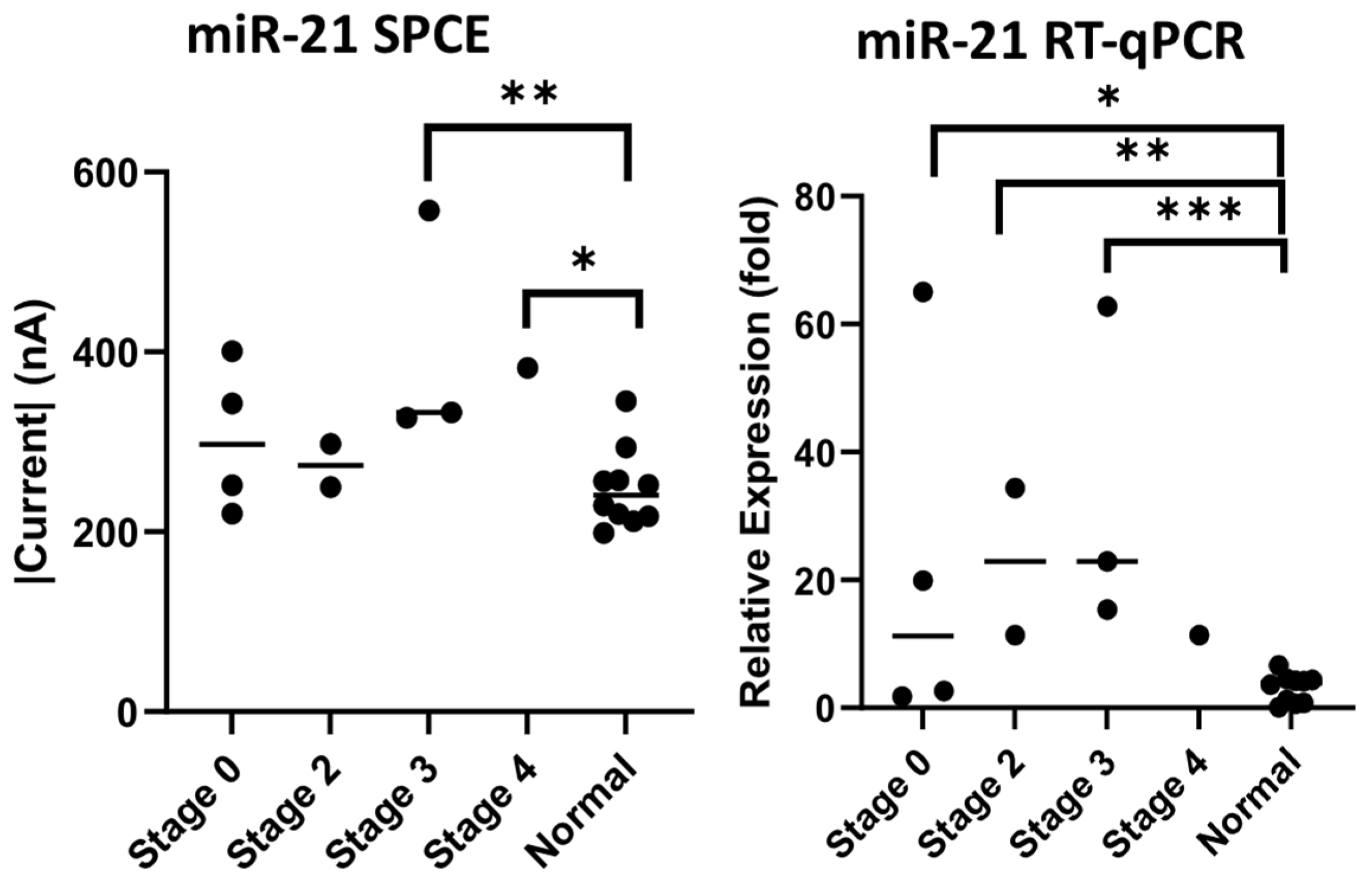 Biomedicines 10 01434 g009 550
