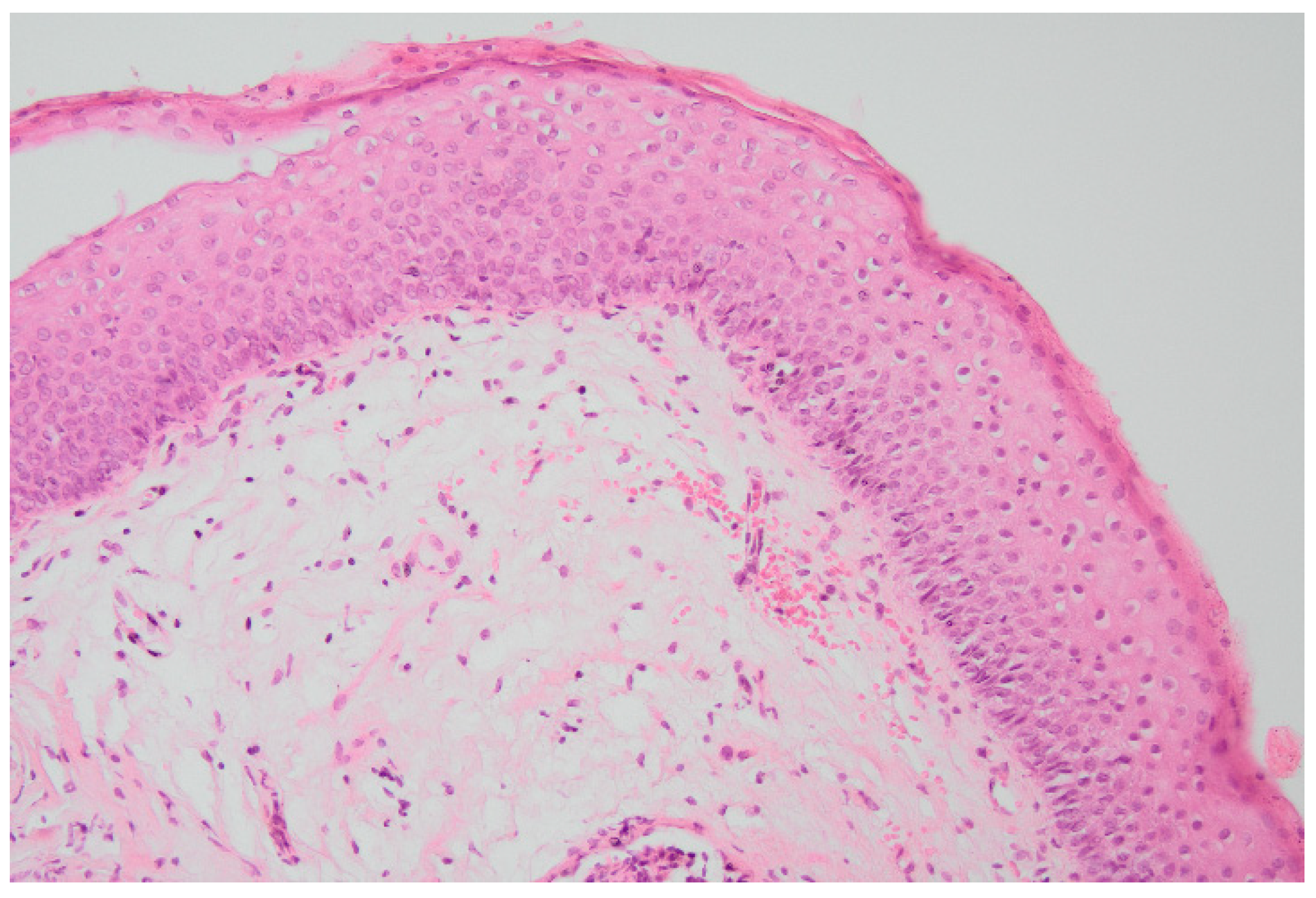 Biomedicines 10 01435 g001 Biomedicines 10 01435 g001