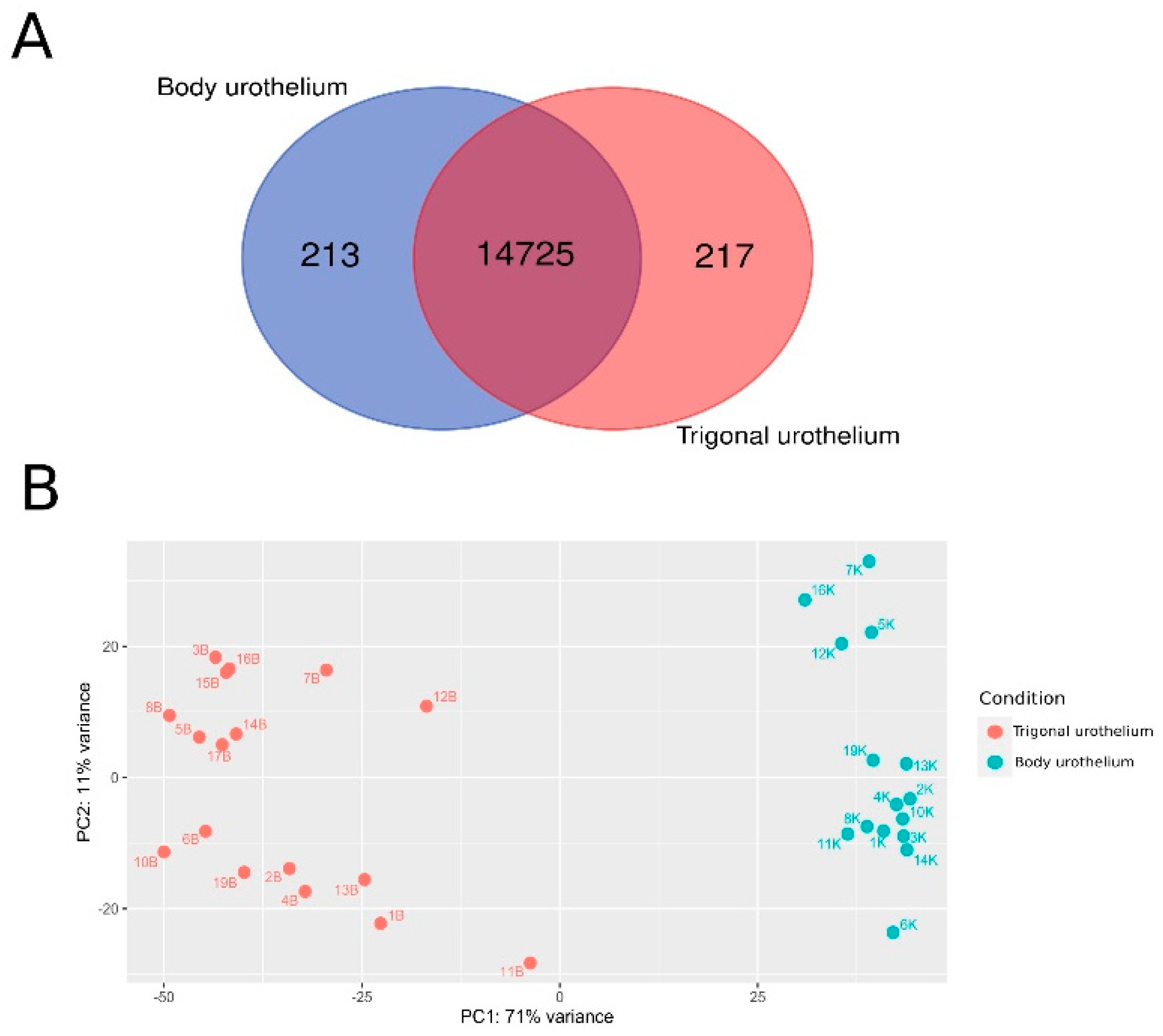 Biomedicines 10 01435 g002 Biomedicines 10 01435 g002
