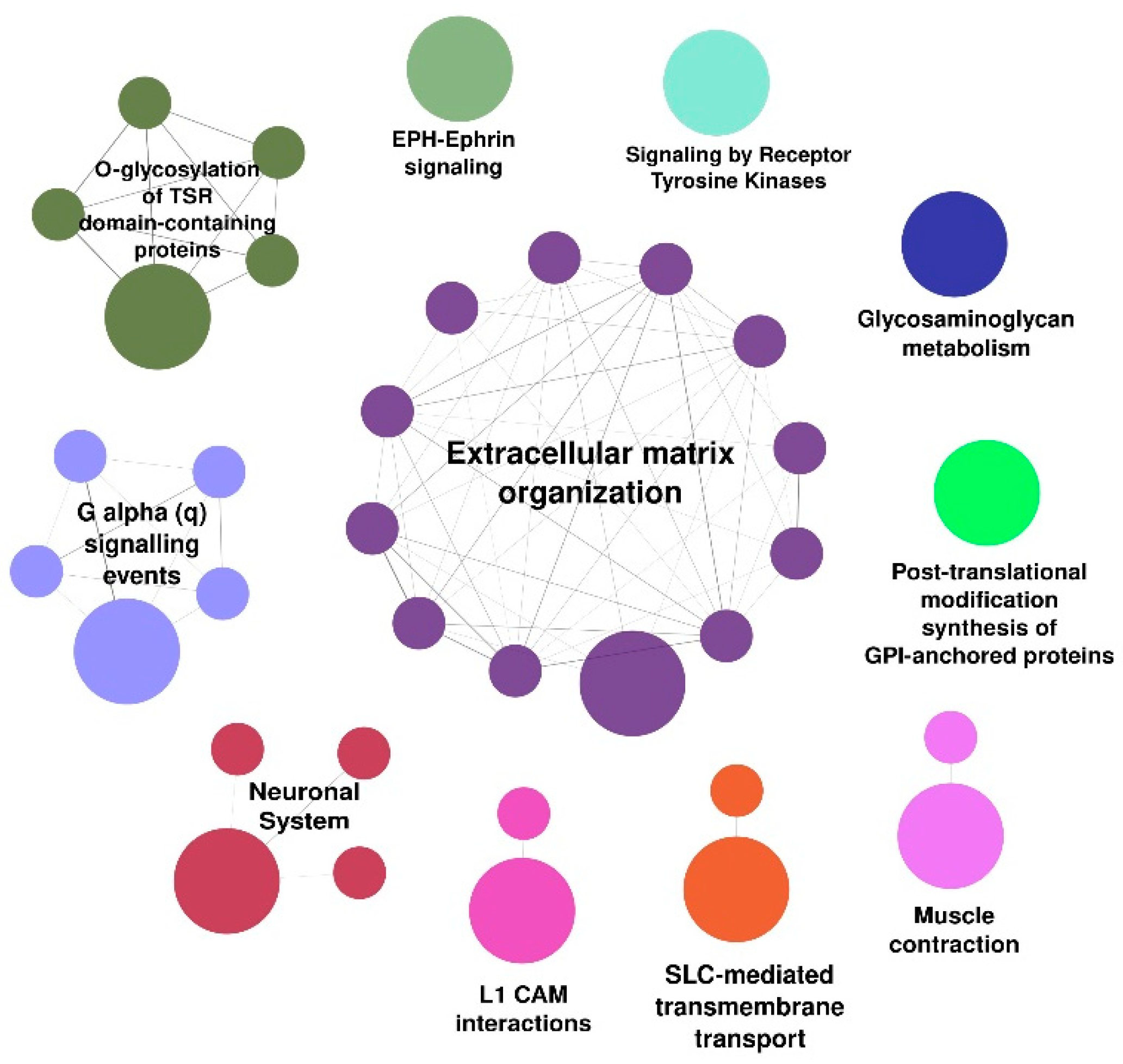 Biomedicines 10 01435 g003 Biomedicines 10 01435 g003