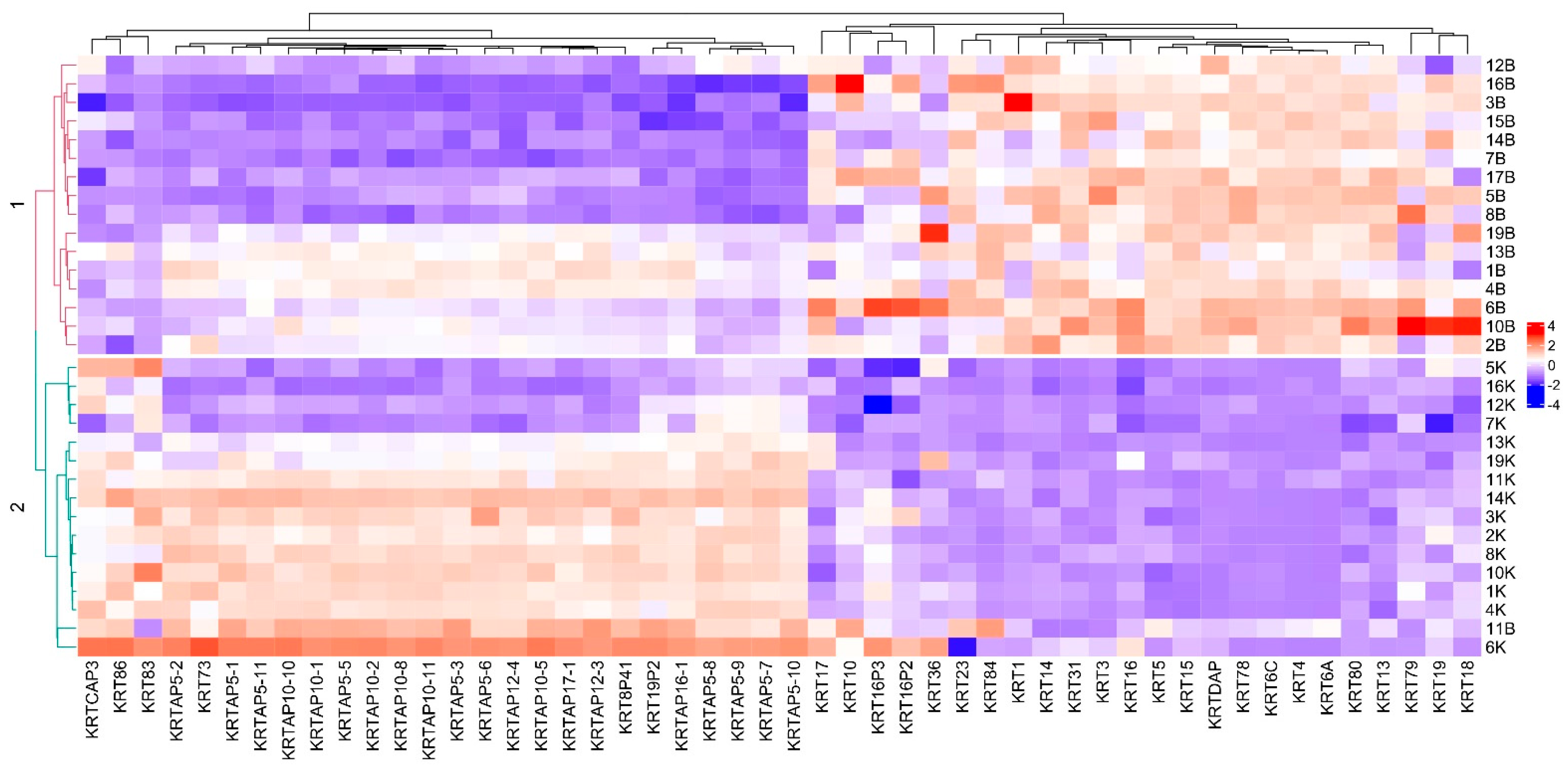 Biomedicines 10 01435 g005 Biomedicines 10 01435 g005
