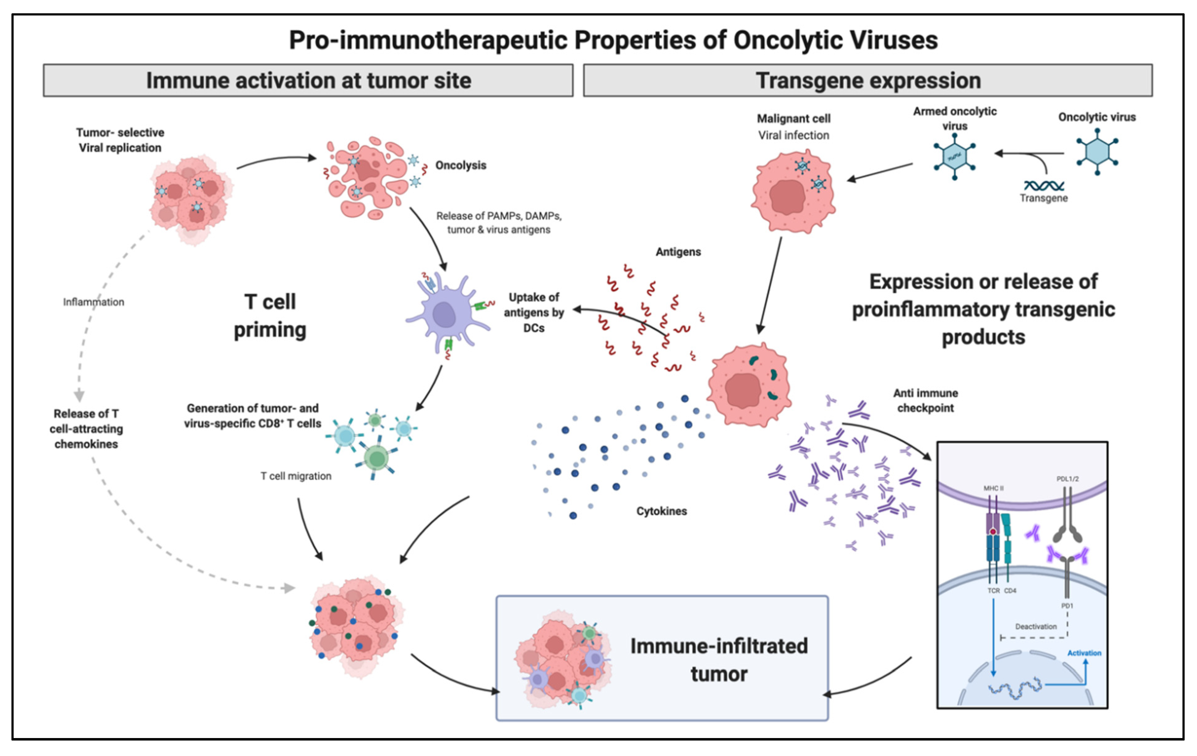 Biomedicines 10 01441 g003
