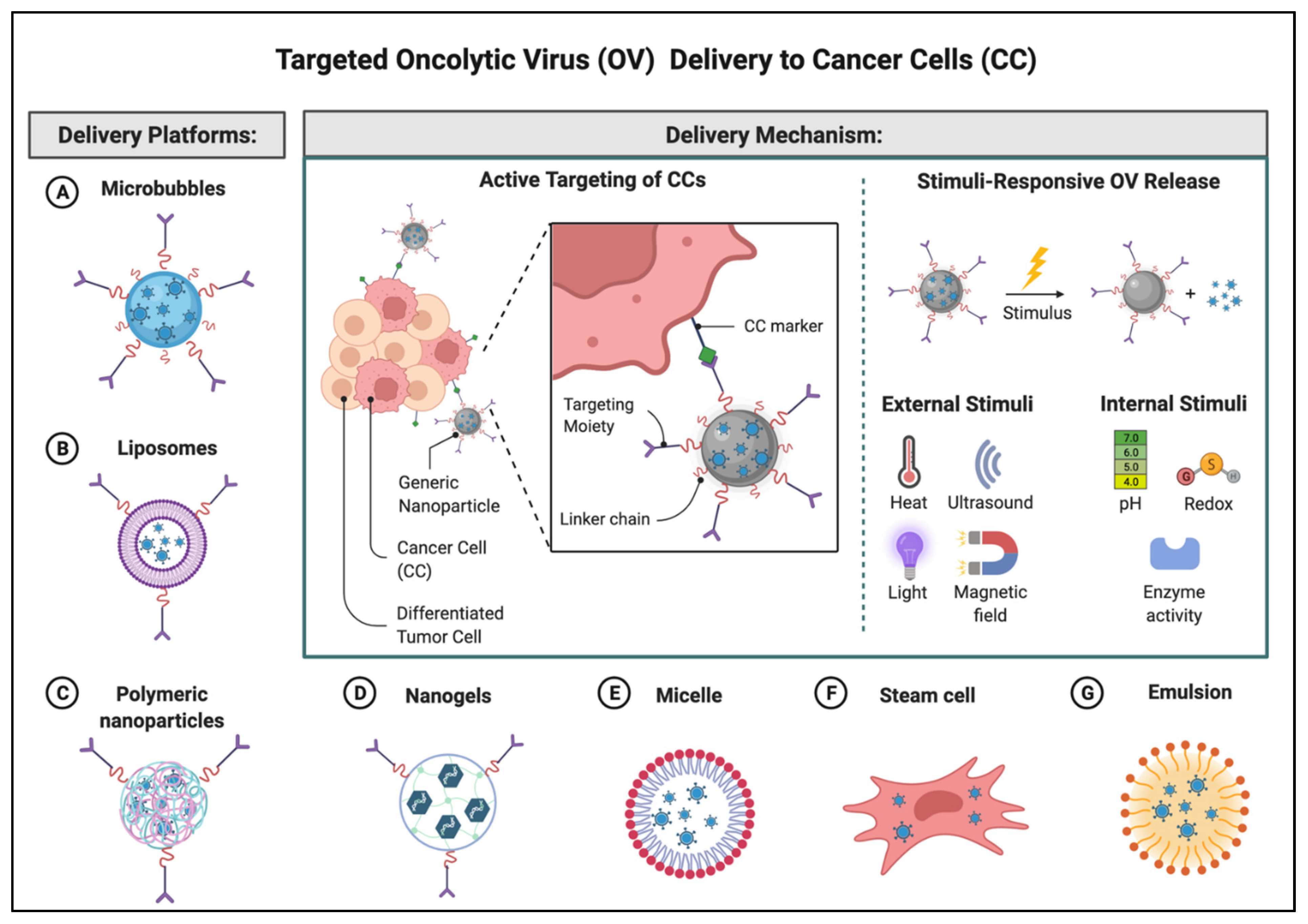 Biomedicines 10 01441 g004