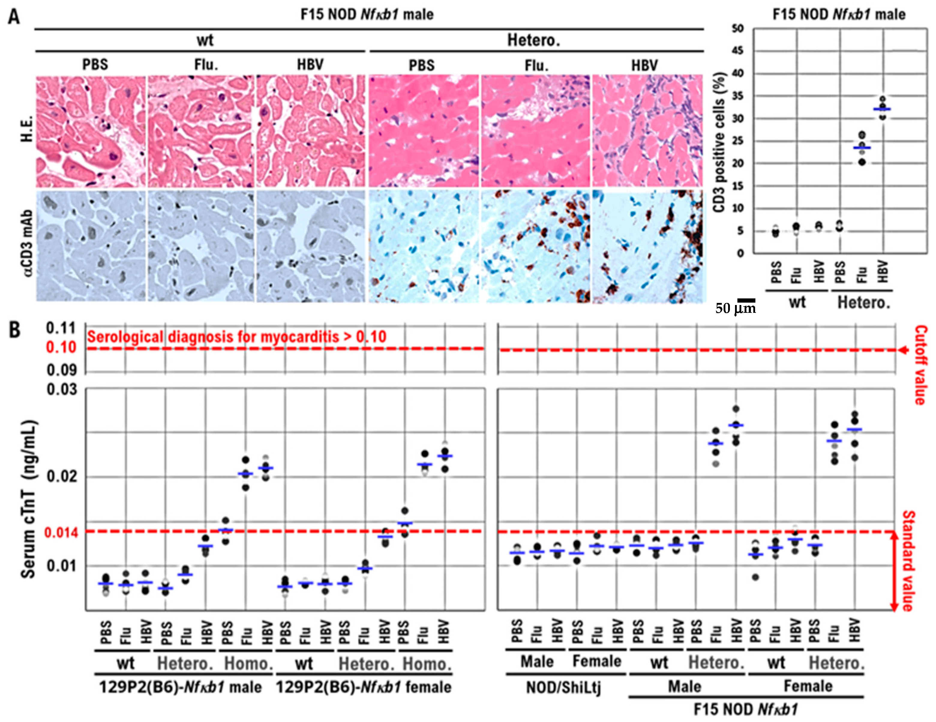 Biomedicines 10 01443 g002