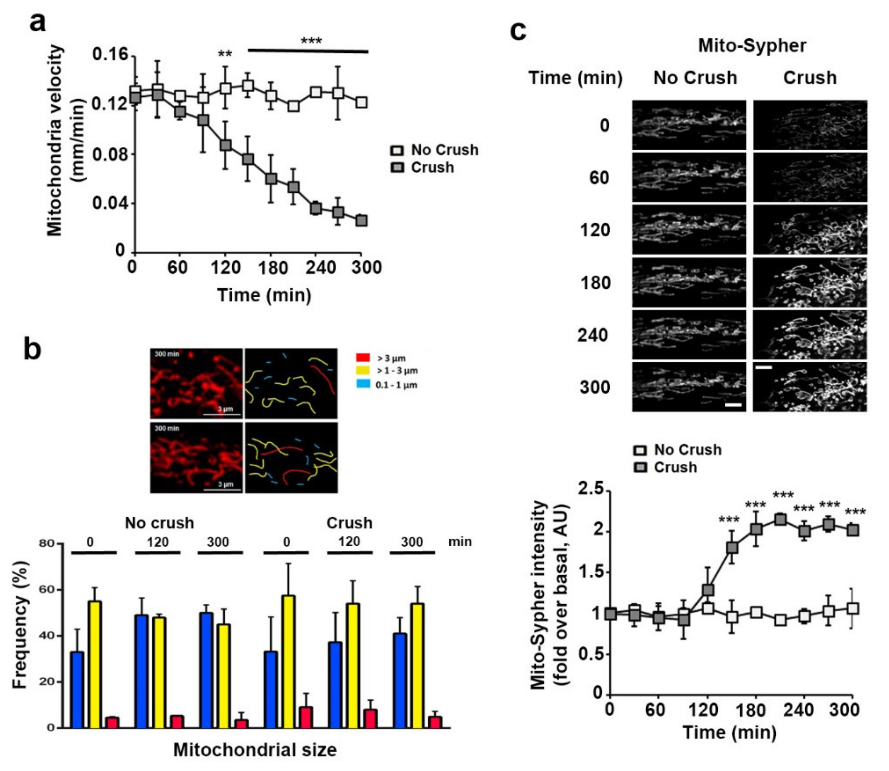 Biomedicines 10 01447 g002